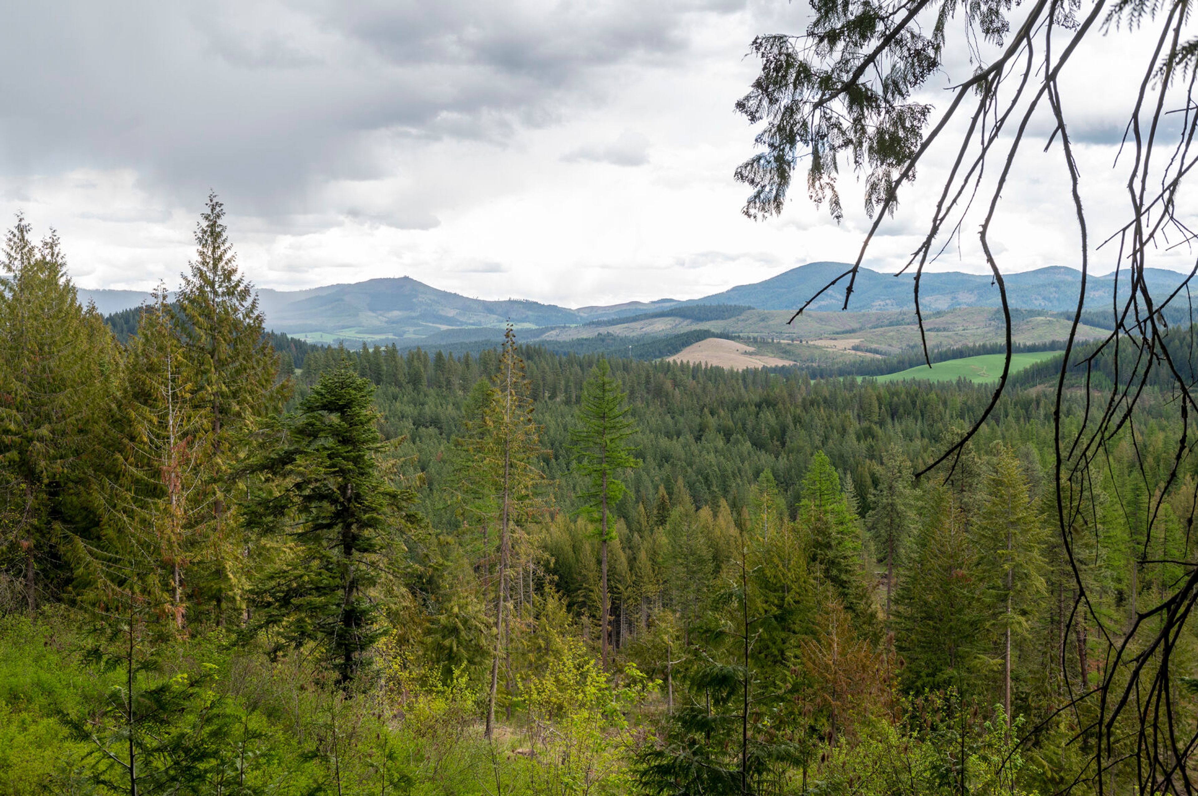 A view from an overlook along Skyline Drive at Mary McCroskey State Park in Farmington.