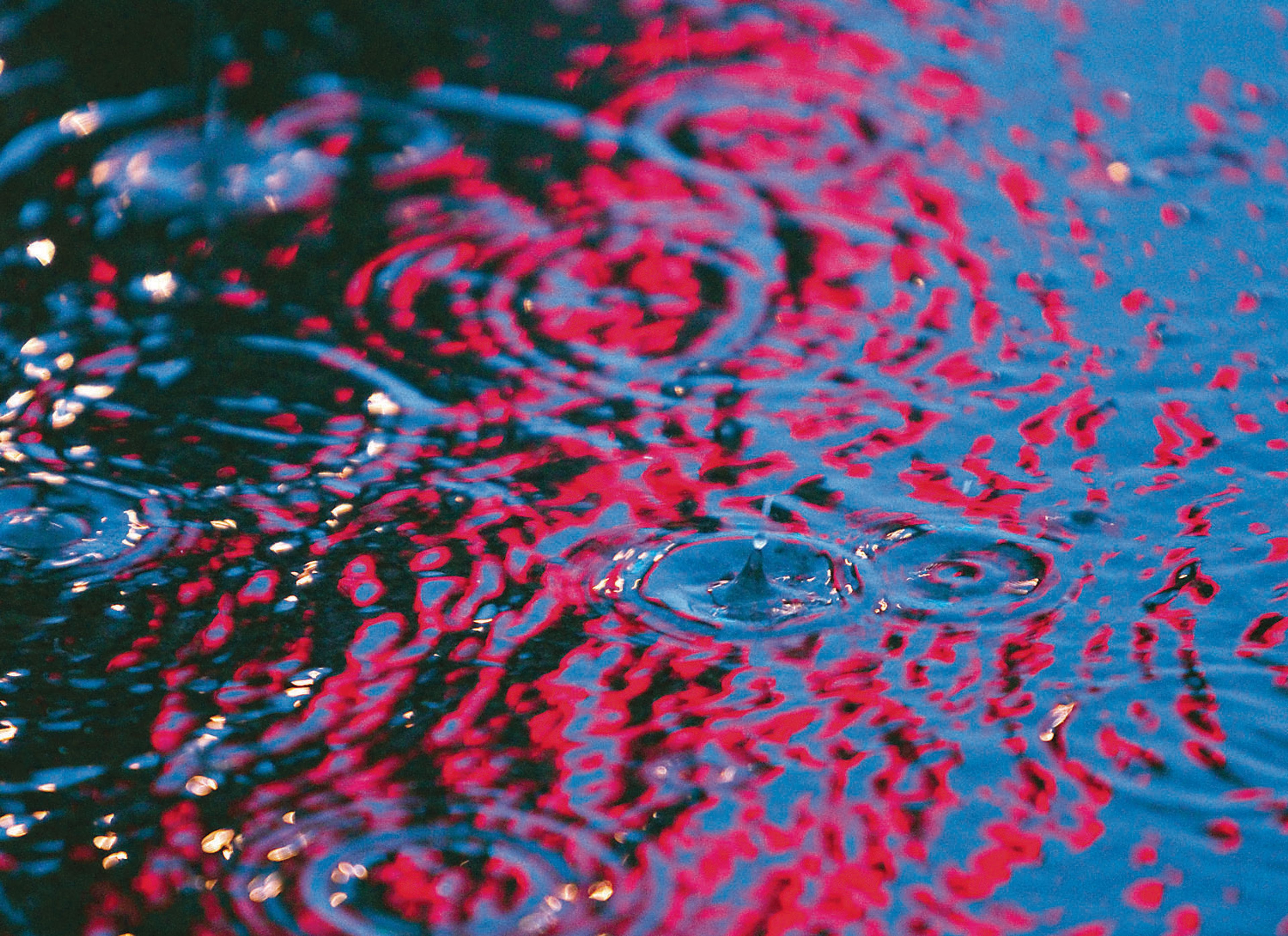 Rain drops fall on the reflection of a red sign in puddles of melting snow in a parking lot on North Main Street in Moscow.