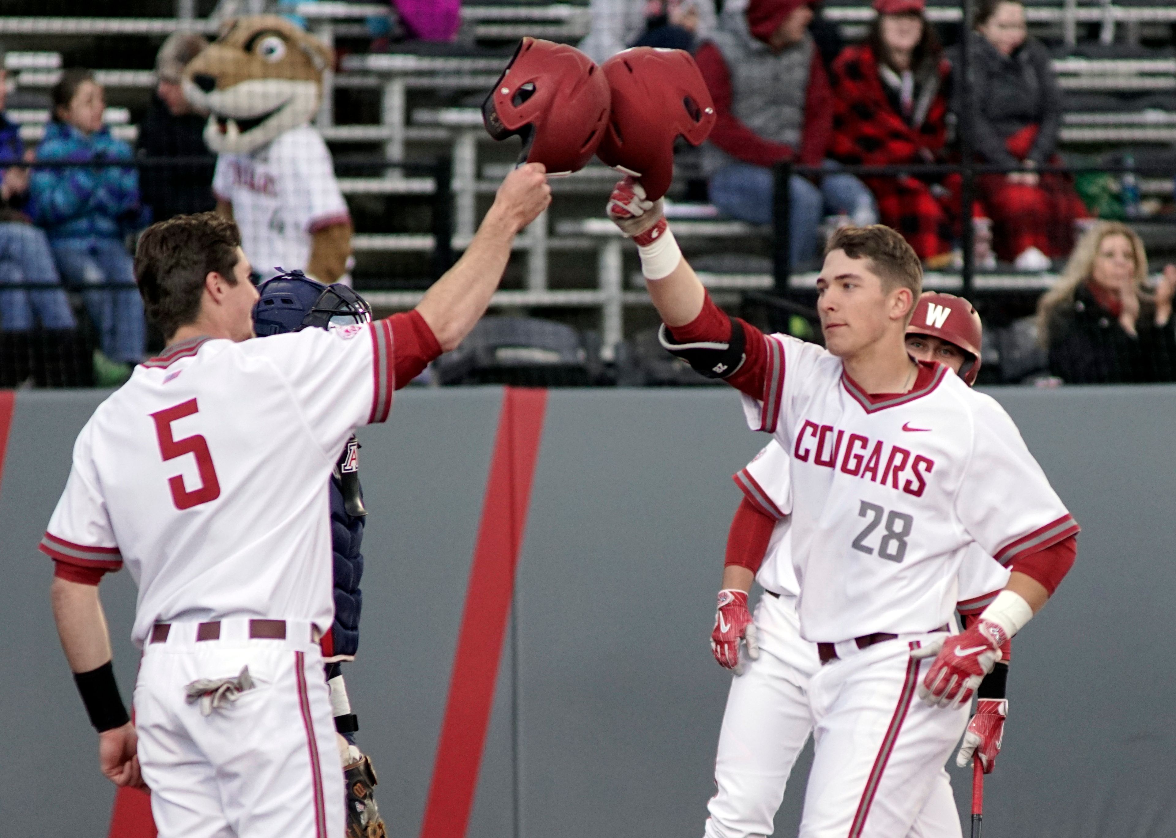 Washington State's Justin Harrer (5) and Shane Matheny (28) tap helmets at home plate after Matheny knocked a two run homer over the right field wall at Bailey Brayton Field on Friday evening against Arizona.