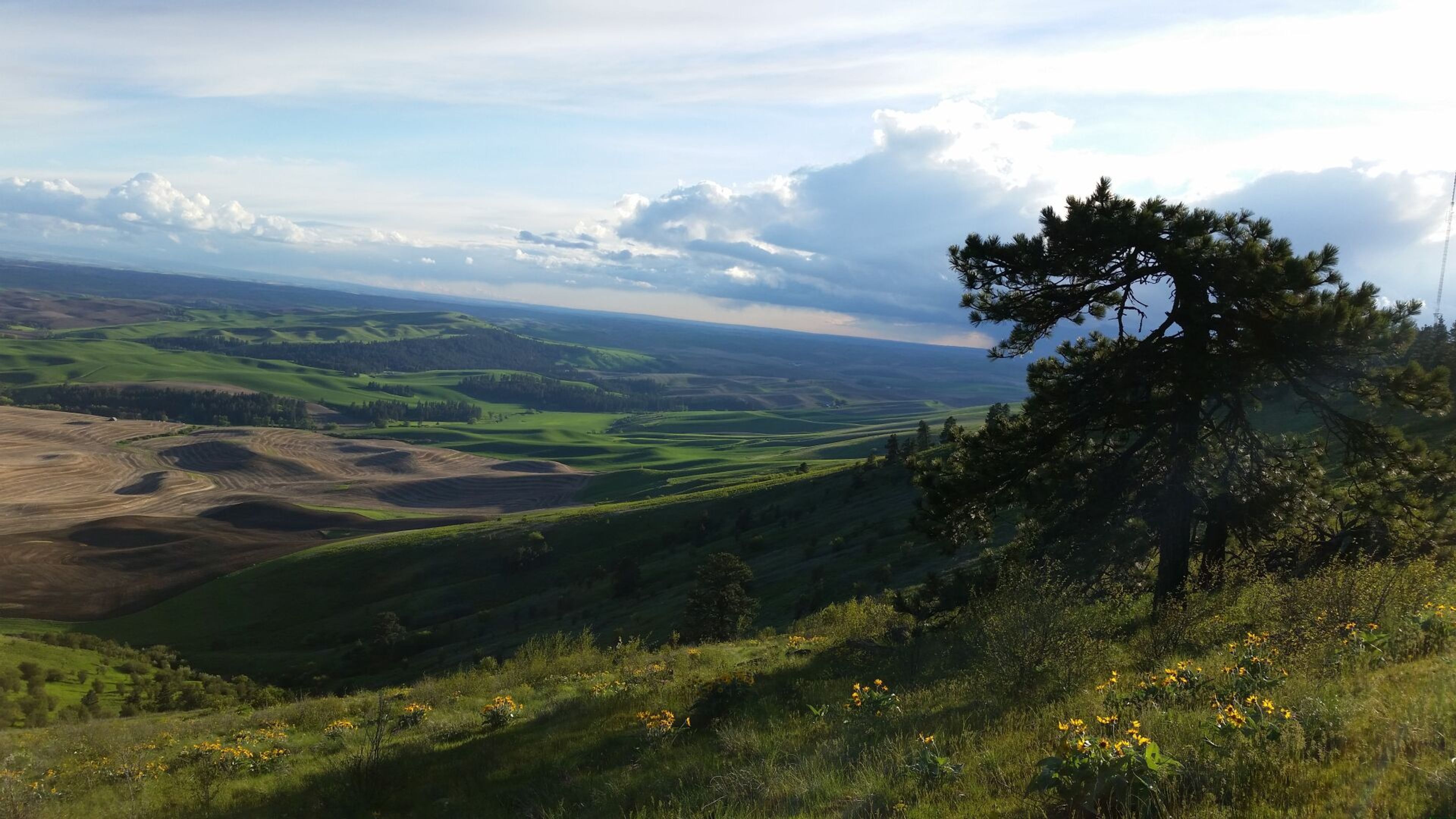 Kamiak Butte