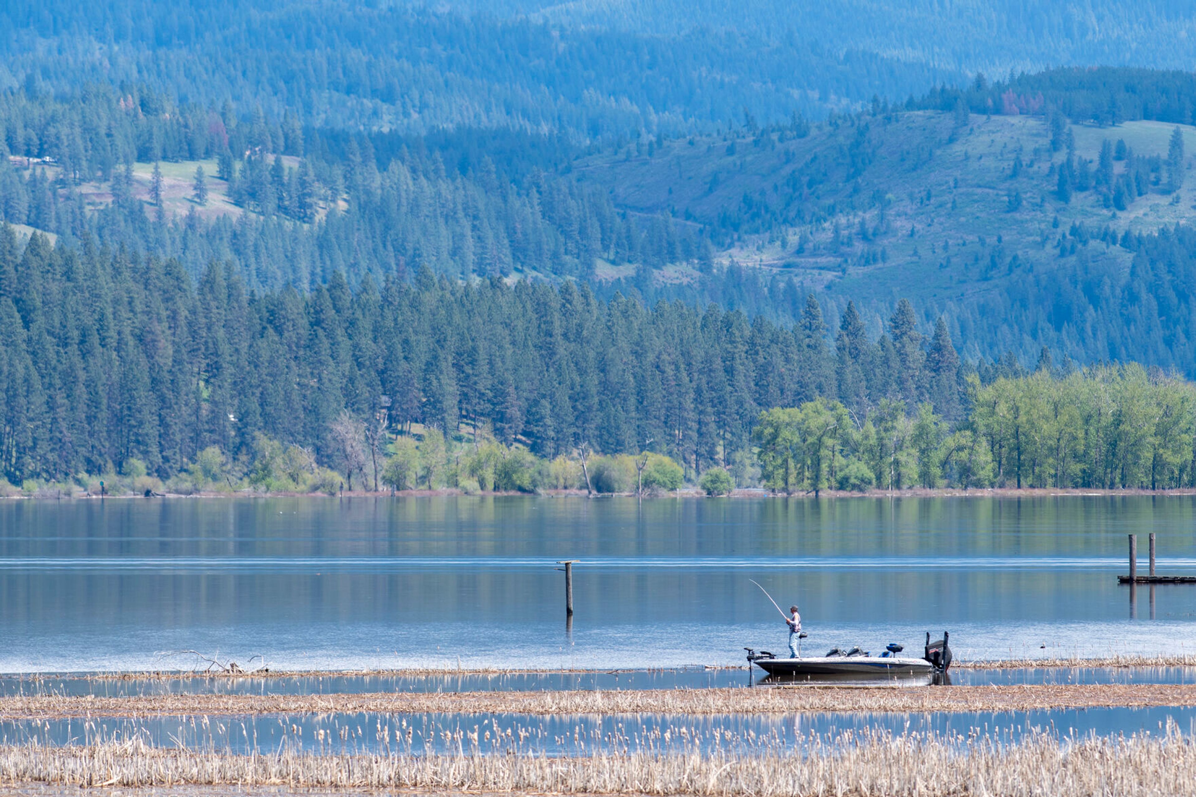 A fisherman casts a fishing line into Chatcolet Lake alongside Trail of the Coeur d’Alene.