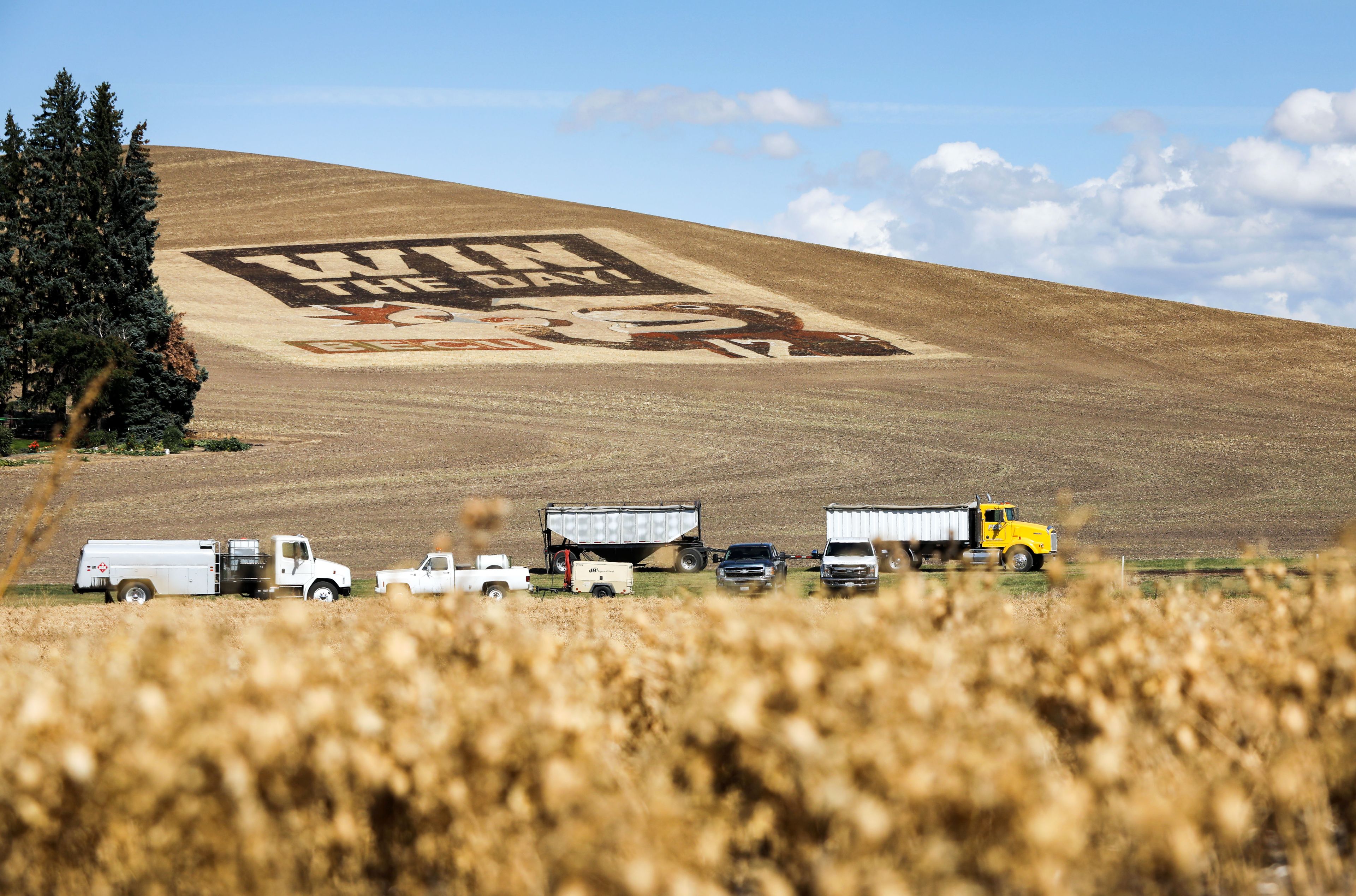 A message that reads “Win the day!” along with Washington State University Cougar imagery, is etched into a field outside Pullman city limits along NW Davis Way and U.S. 195 on Tuesday.