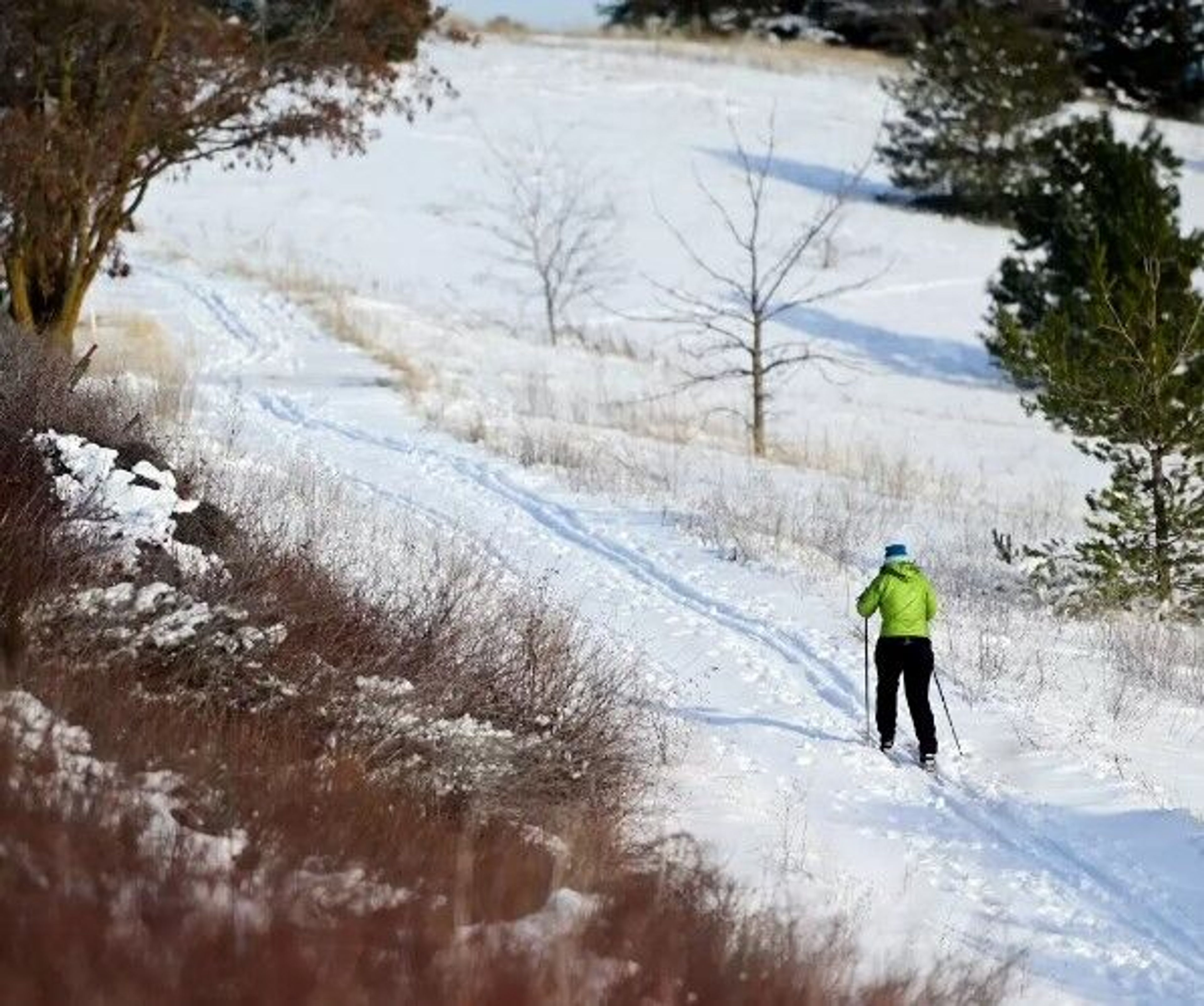 A cross country skier makes their way across the University of Idaho golf course in Moscow on Monday.