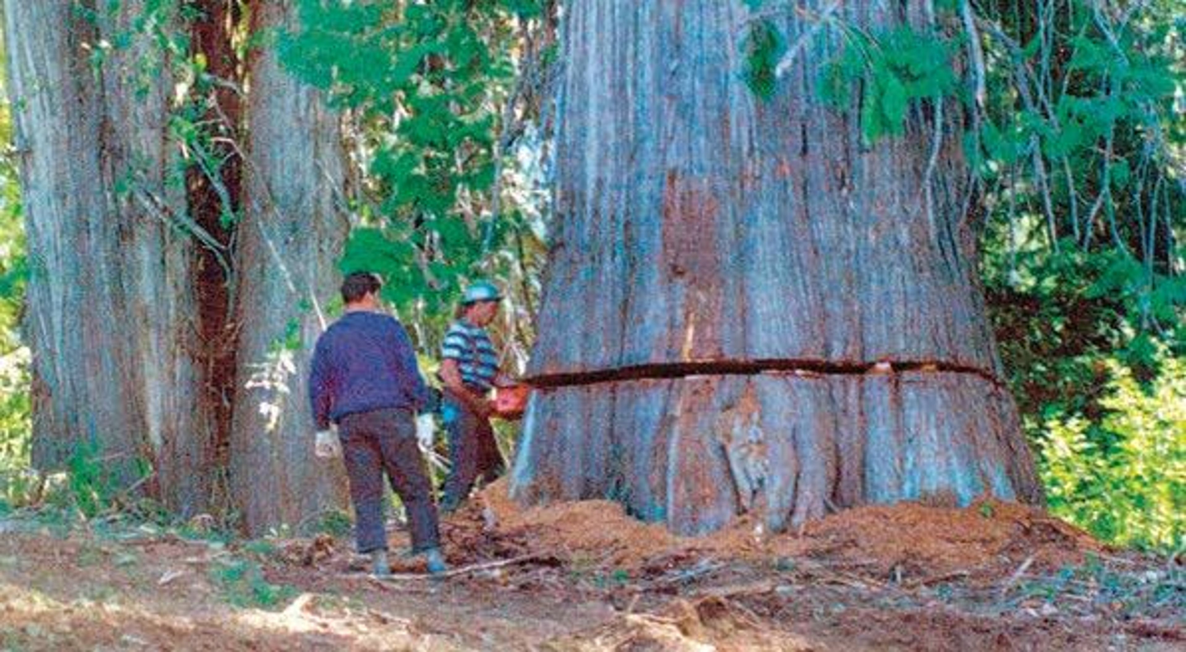 Reader Photo of the Day