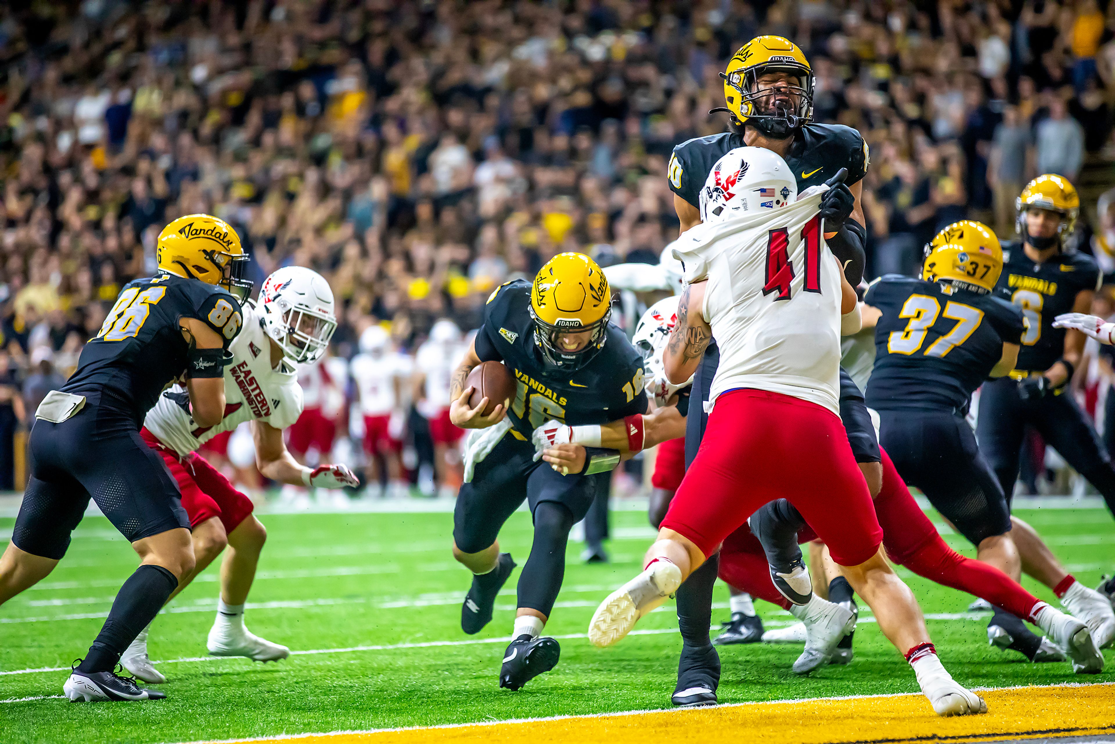 Idaho quarterback Rocco Koch runs in for a touchdown against Eastern Washington during a Big Sky game Saturday at the Kibbie Dome in Moscow. ,