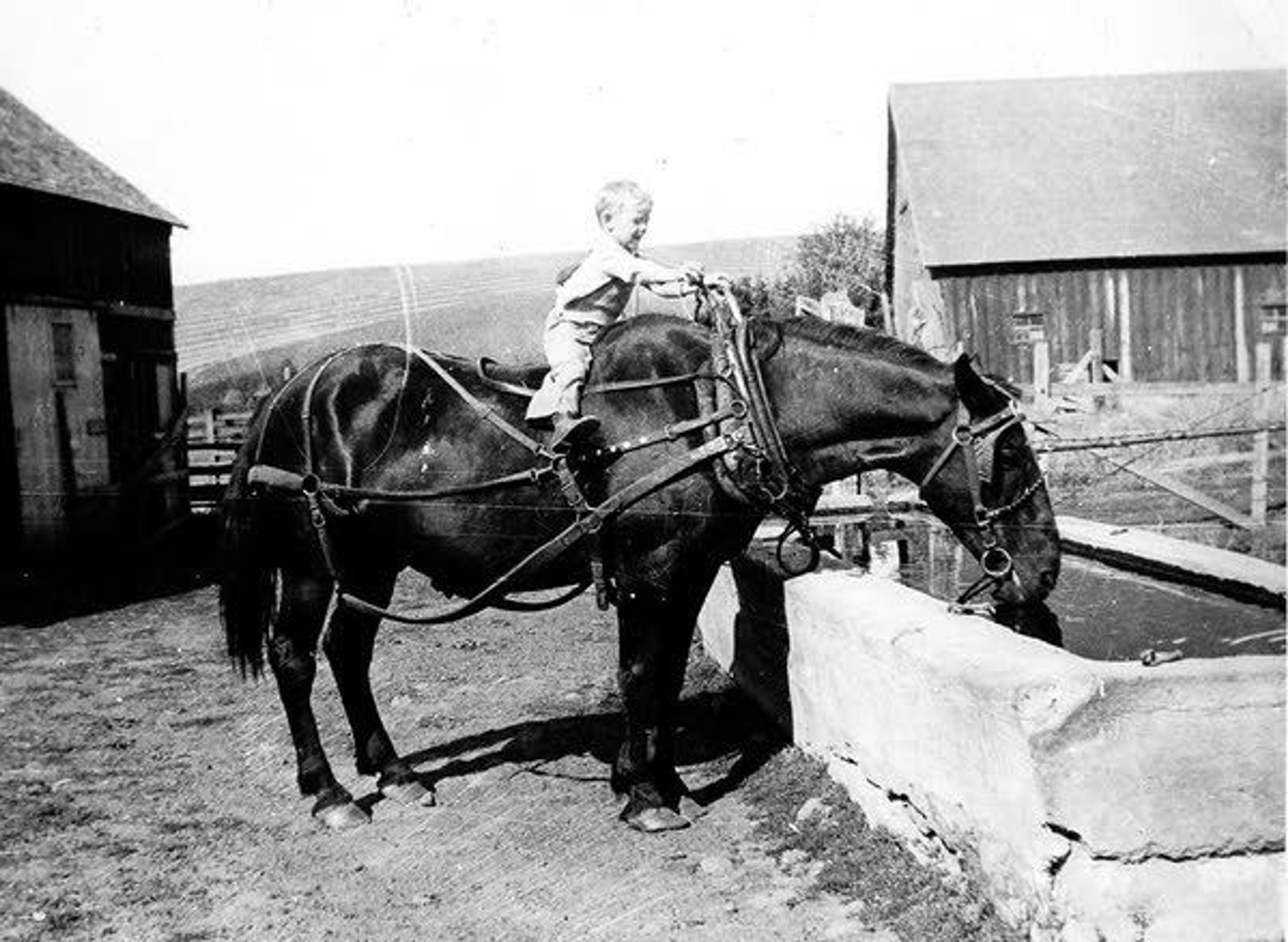 Ralph Jennings, Pullman farmer, in a photo that won a "reader's choice" award at the Palouse Empire Fair.