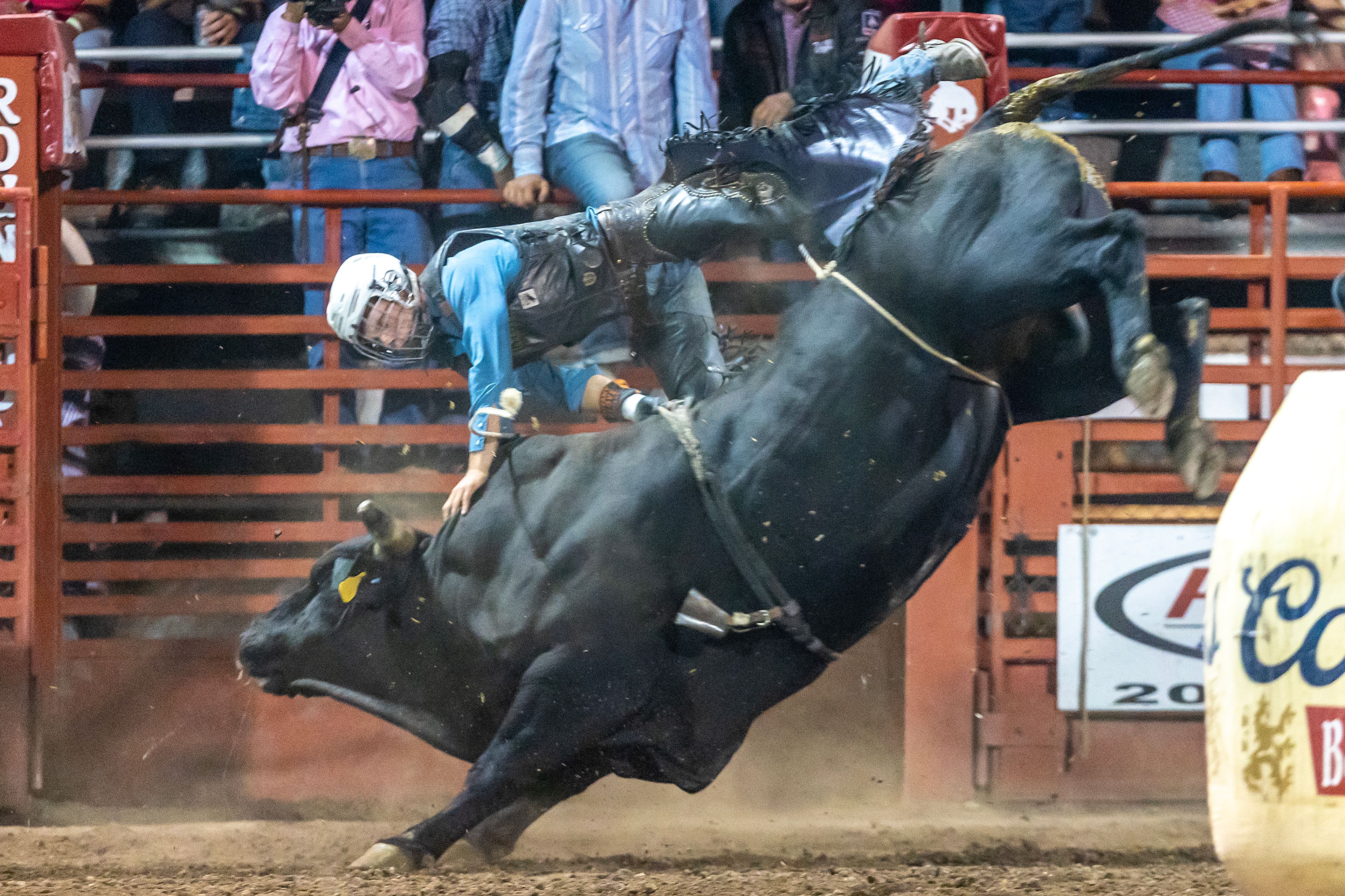 Alex Koberstein is thrown from Alabama Slammer in the bull riding competition on night 3 Friday at the Lewiston Roundup.