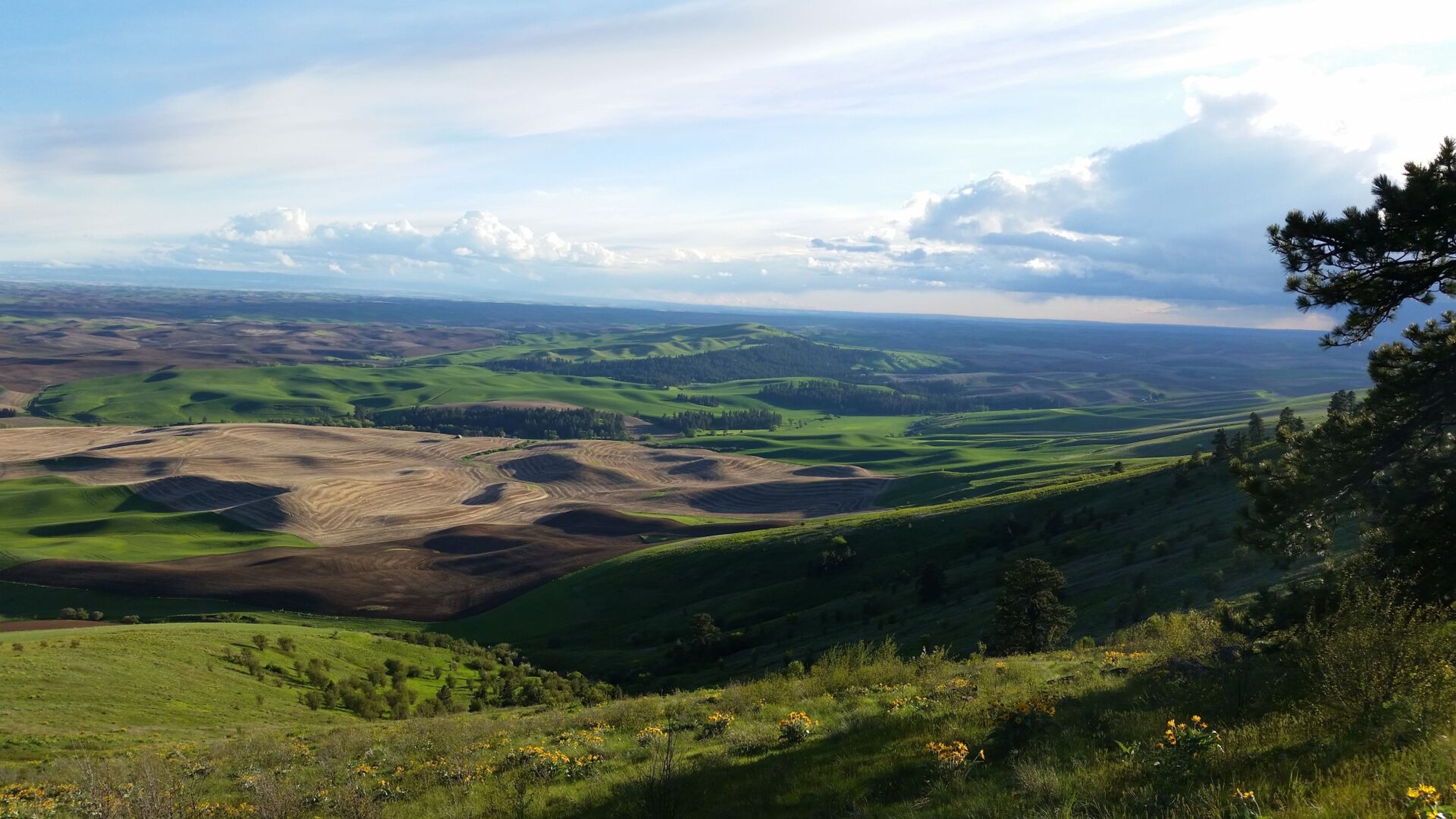 Kamiak Butte State Park