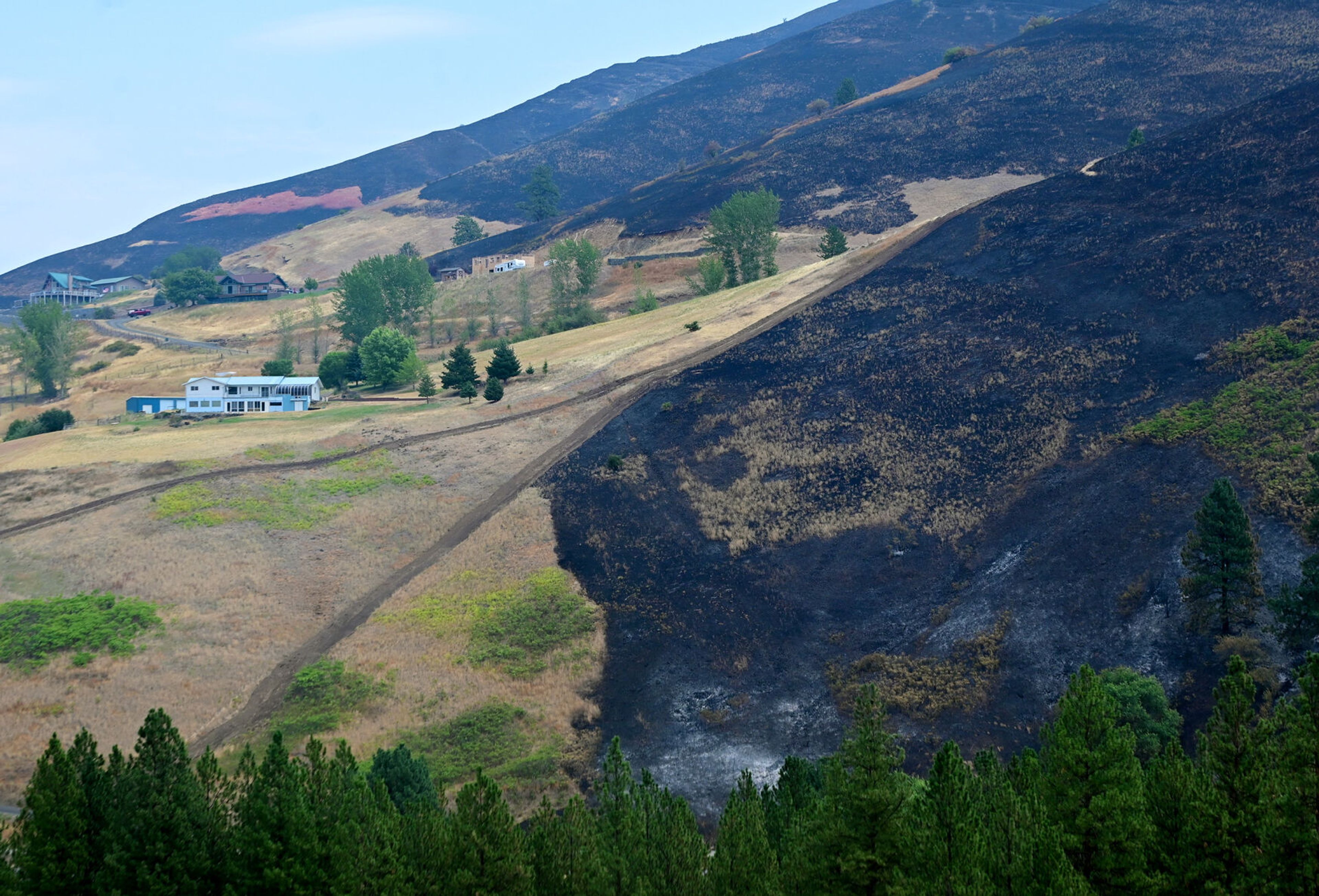 Homes spared from the Gwen Fire flames are visible from Arrow Highline Road in Juliaetta on Monday.