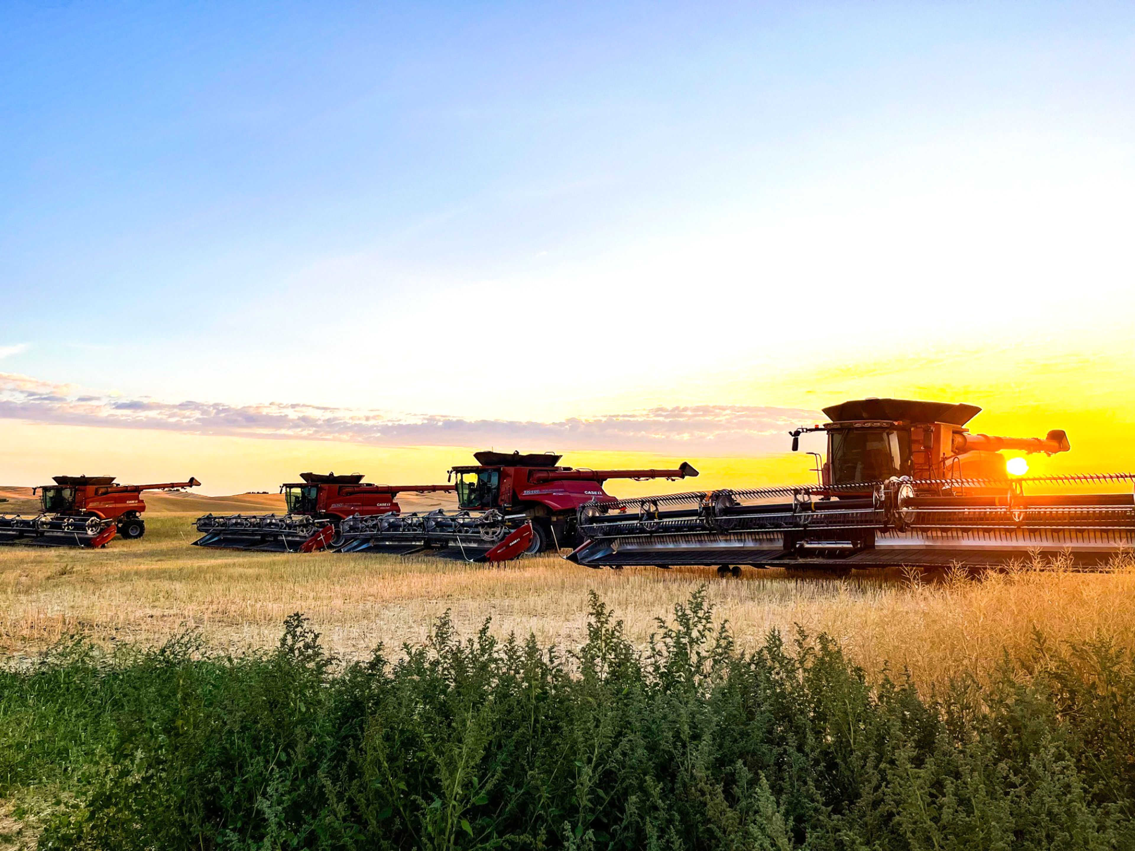 This photo was taken during harvest on the Palouse in late August by Raymond Mallery, a Moscow resident.