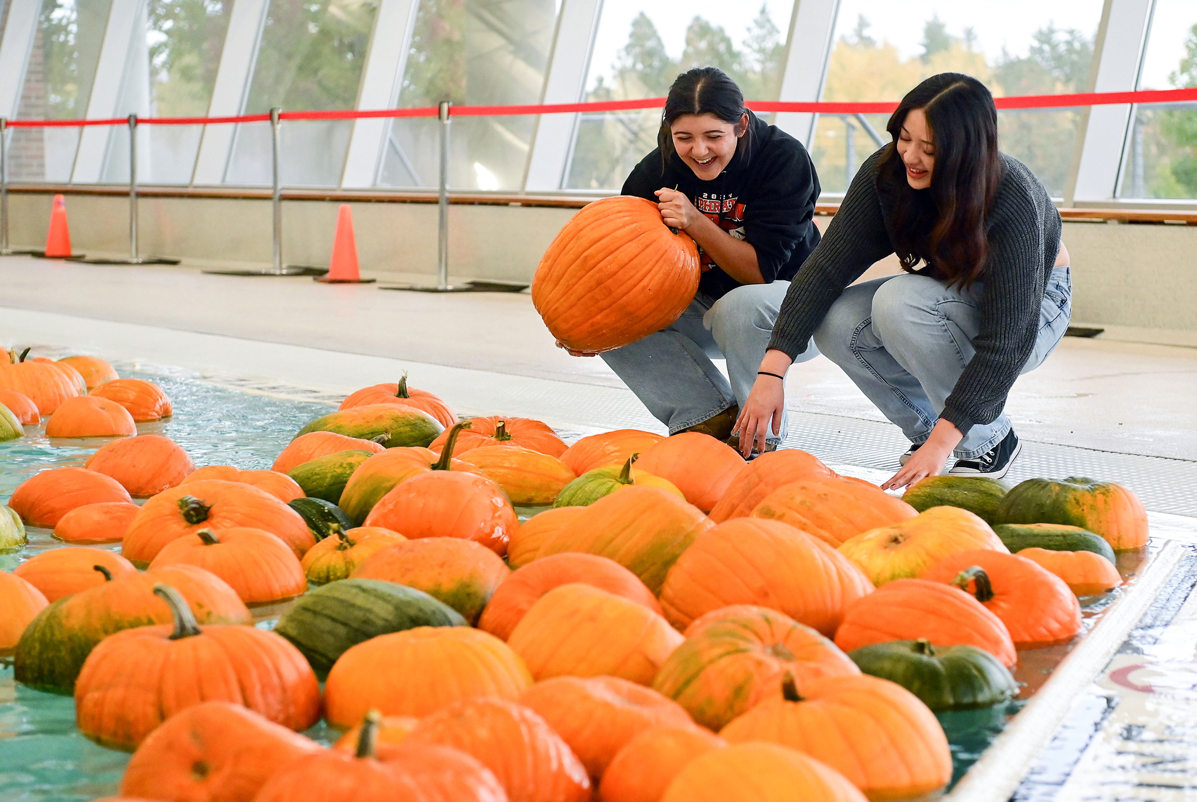 First year Washington State University students Abby Toro, left, and Dulcea Ventura laugh as they pull pumpkins from the AquaPatch at the WSU Student Recreation Center Wednesday in Pullman. Around 200 pumpkins were available for picking at the pool.,