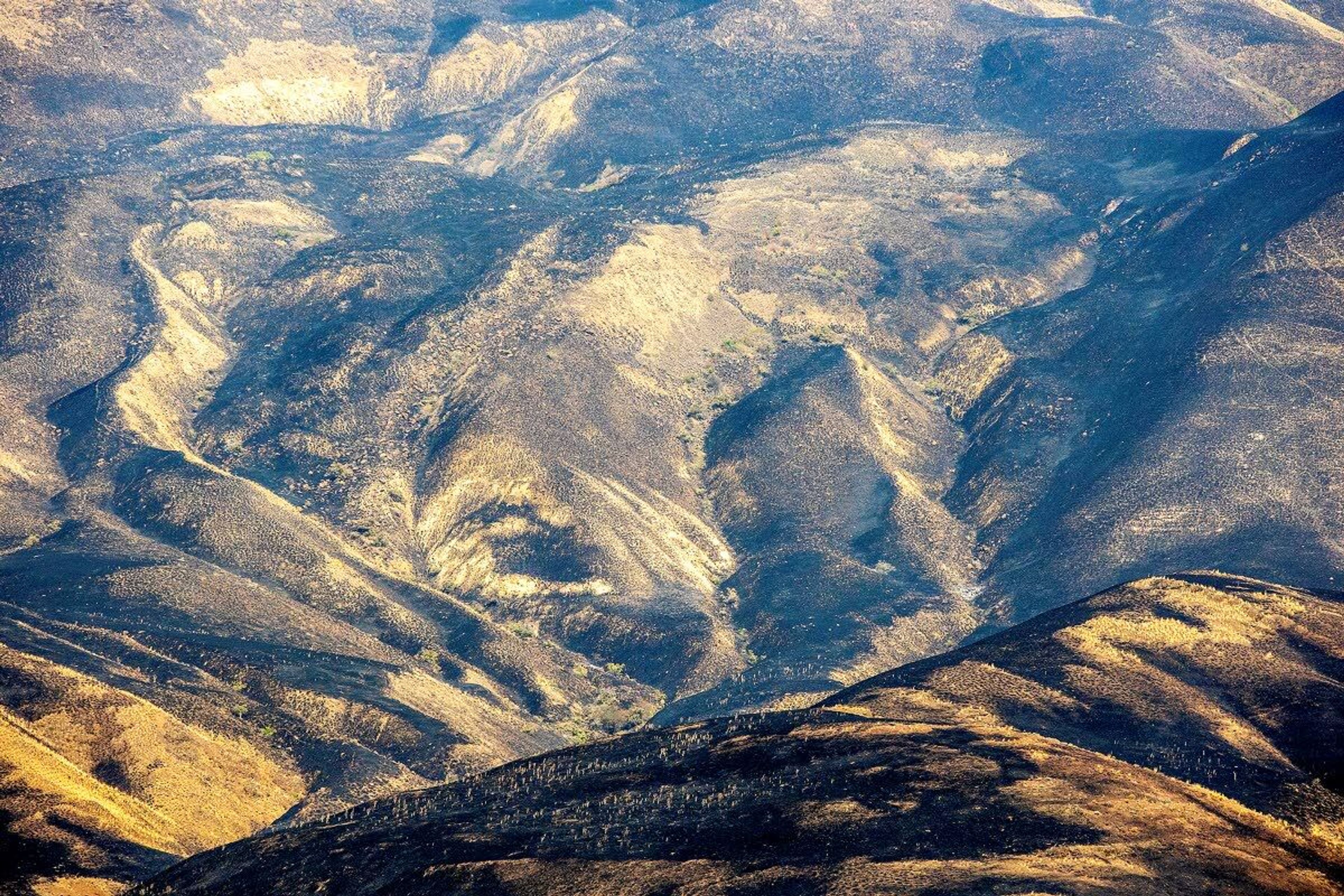 The hillside east of the Snake River are charred black from the Snake River Complex fire on Saturday.