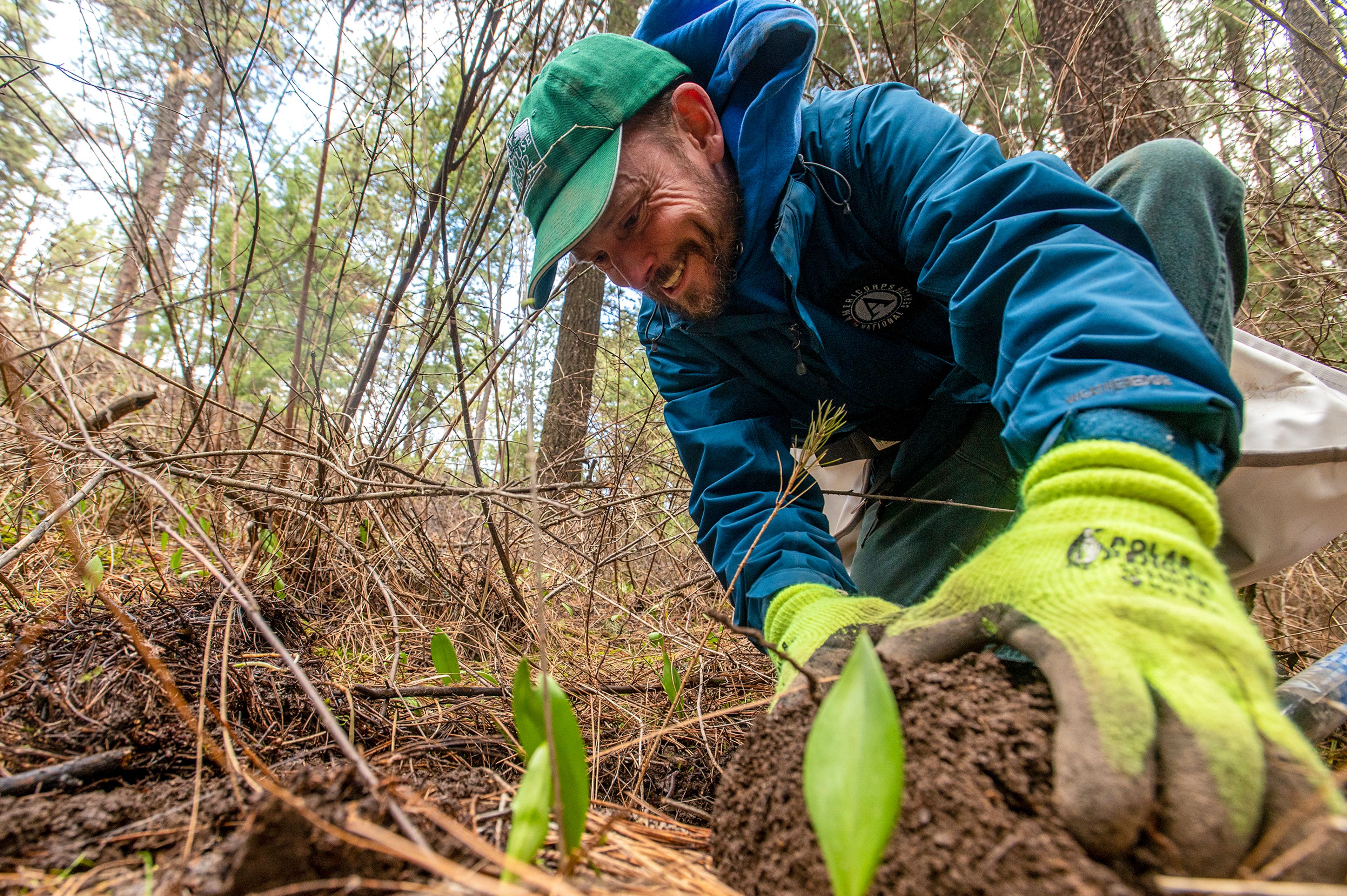 Marcel Robicheaux, an AmeriCorps member serving with Palouse Land Trust, plants a larch seedling Tuesday along the Cedar Trail at Idlers Rest Nature Preserve in Moscow. Robicheaux said his goal was to plant 90 coniferous trees, consisting of larch and white pine, over the course of the day.