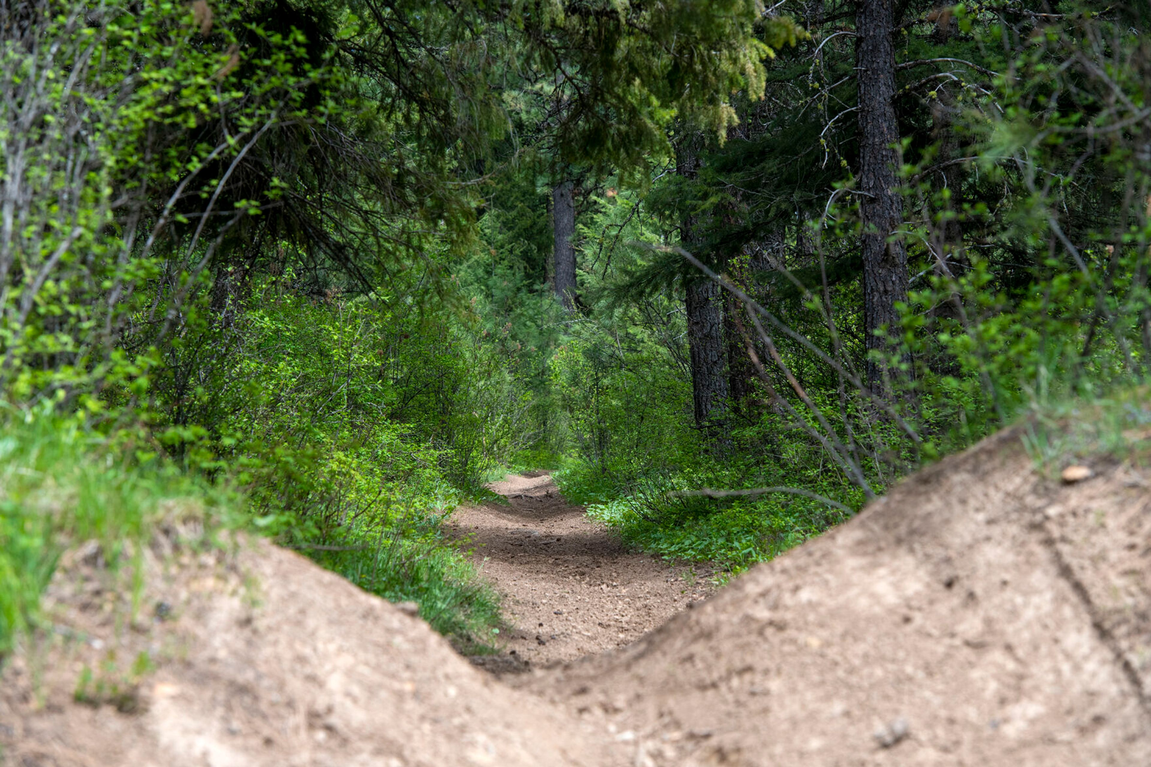 One of the many trails at Mary McCroskey State Park in Farmington is photographed.