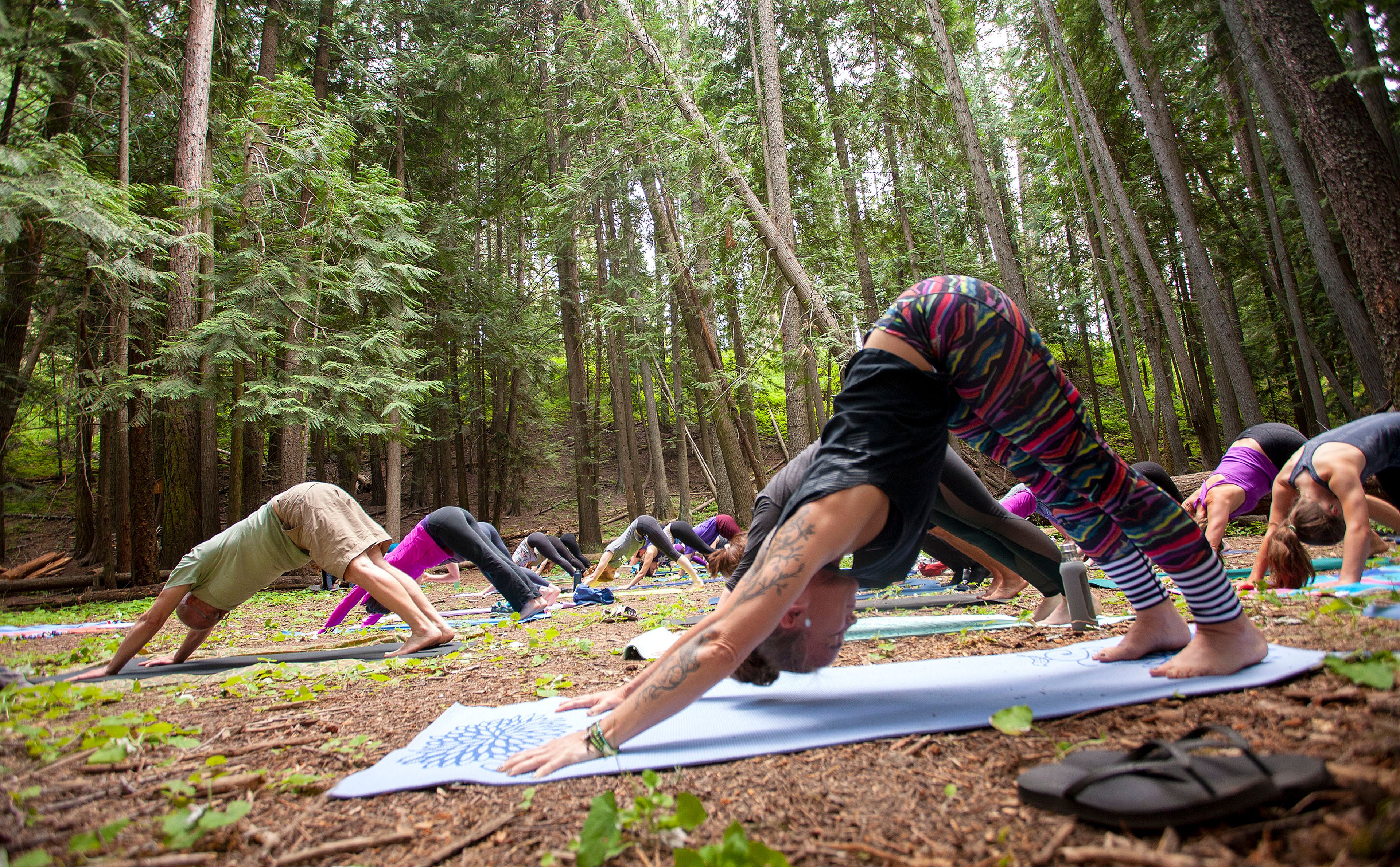 Participants hold the downward facing dog pose during Cafferty’s Yoga In The Cedars class.