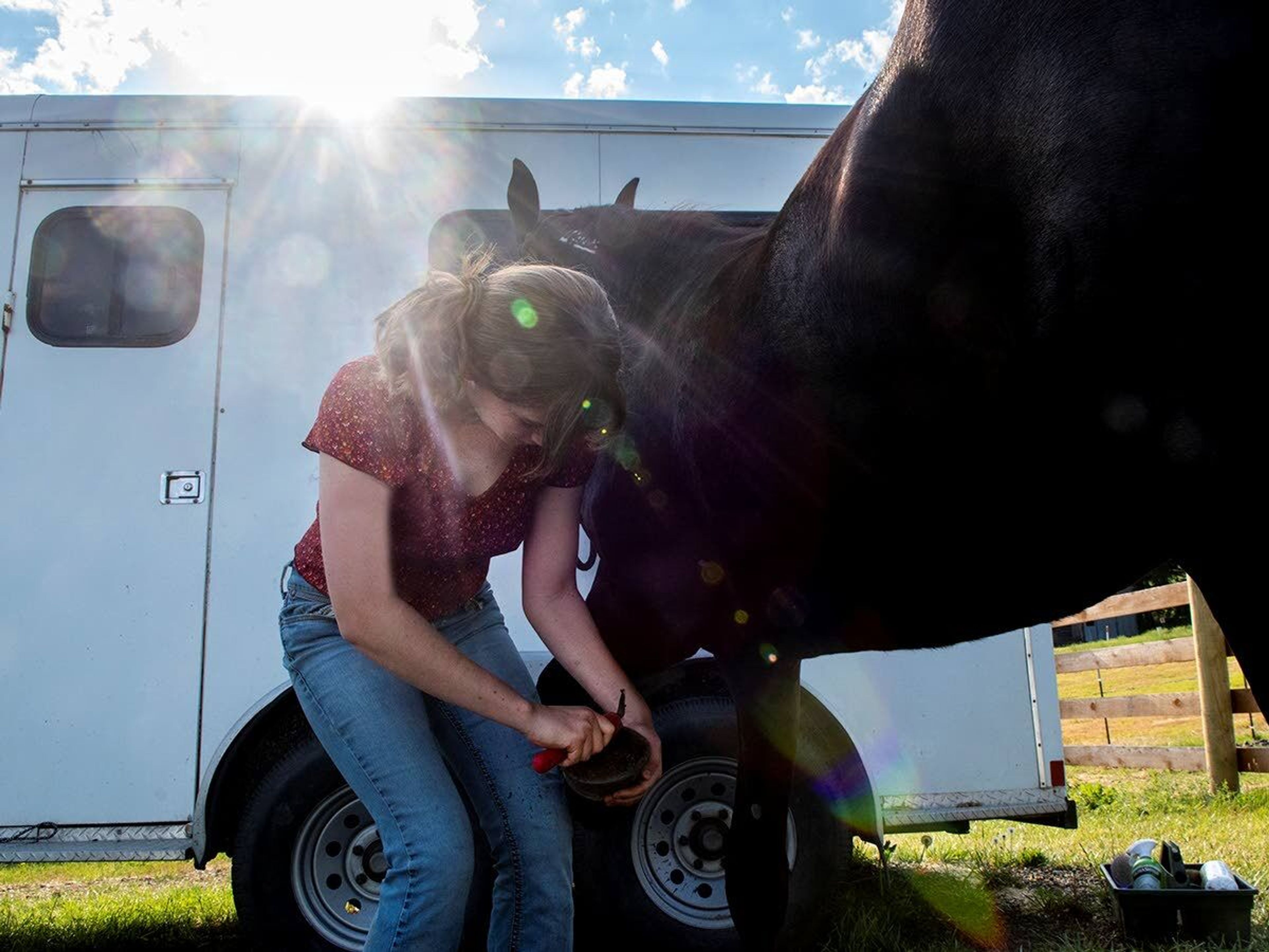 Hylton cleans debris from Lyra’s hooves with a hoof pick to ensure there are no bruises or infections.