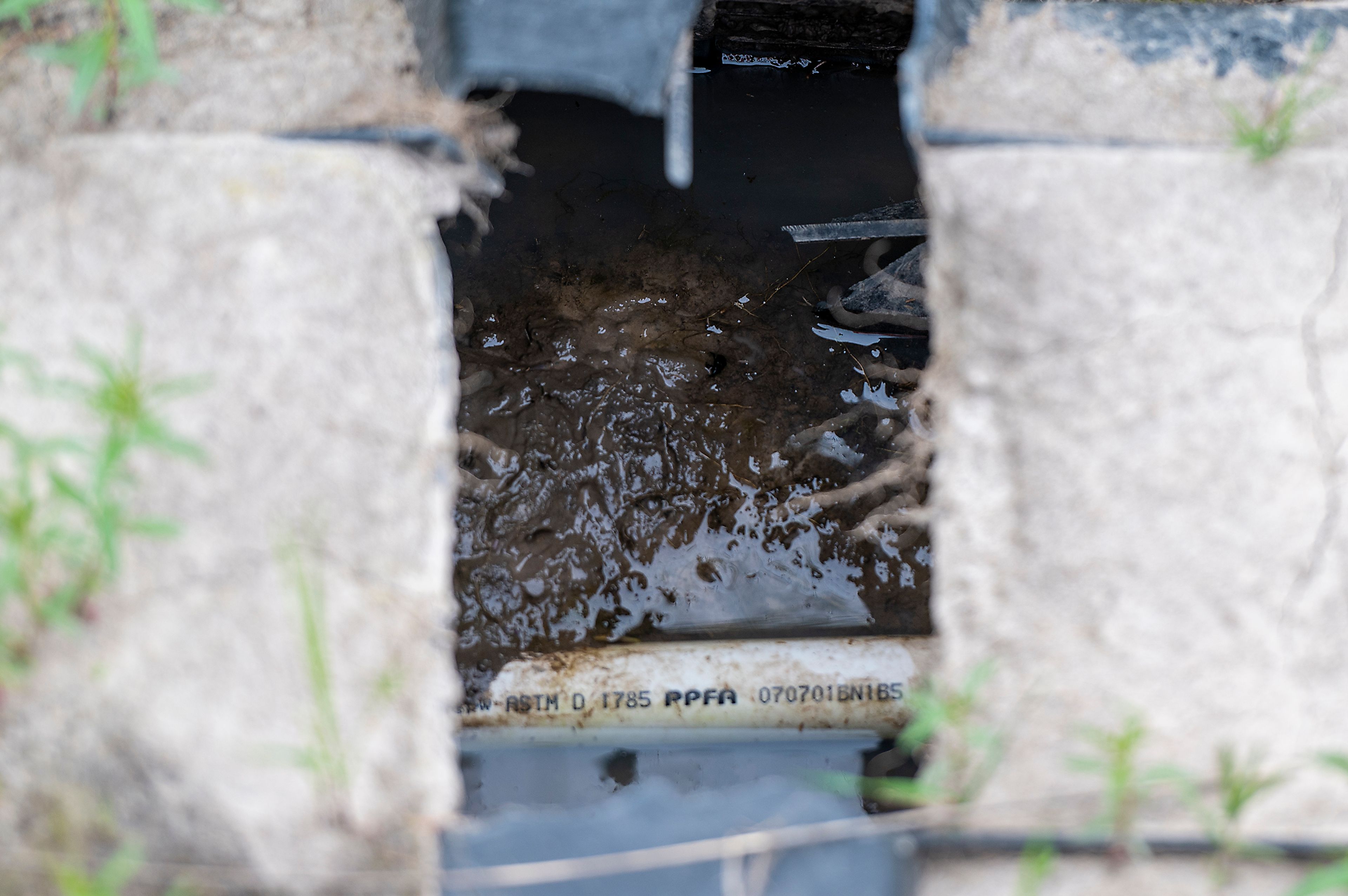 A combination of ground water and raw sewage builds up in one of the ADS chambers of Harvard’s sewage system on Wednesday.