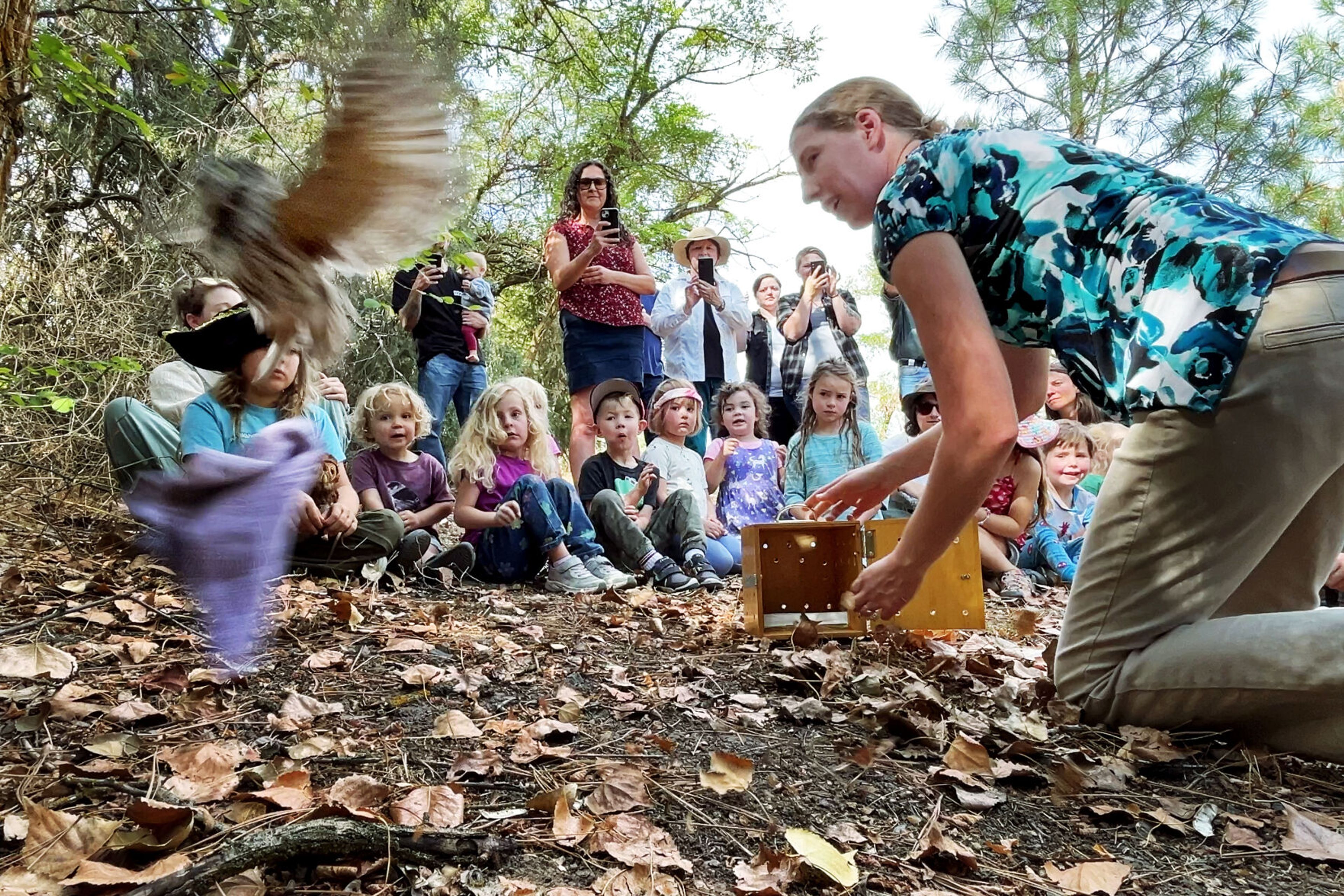 In this still frame taken from video, WSU wildlife veterinarian Dr. Marcie Logsdon, right, releases a western screech owl at the Palouse-Clearwater Environmental Institute on Thursday, Sept. 19, 2024, in Moscow, Idaho as children and parents from the Palouse Roots early childhood nature school look on. The owl had been receiving care at the Stauber Raptor Facility in Washington State University's College of Veterinary Medicine and was released at PCEI because the facility and surrounding land has an abundance of ideal owl habitat. (College of Veterinary Medicine/Ted S. Warren)