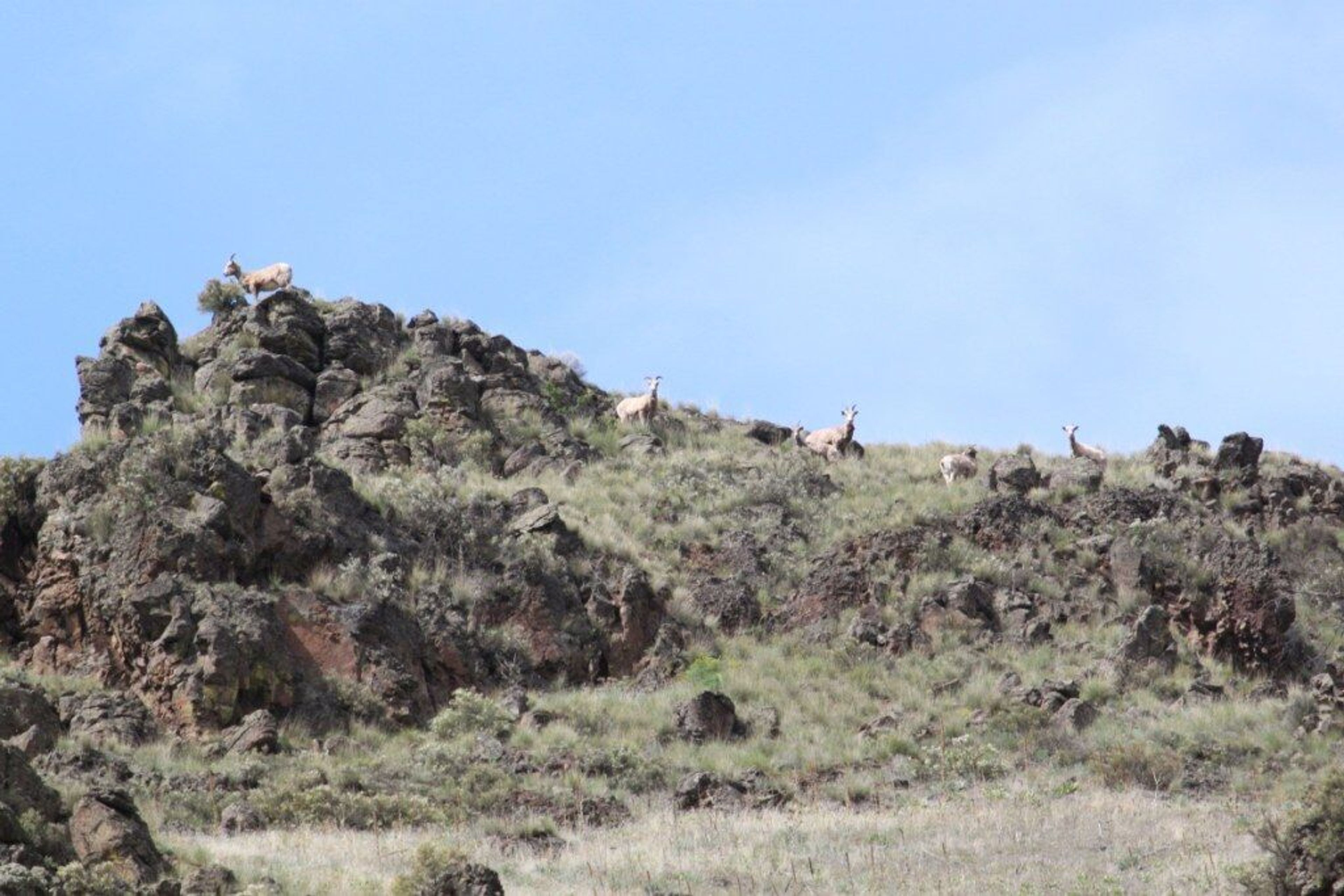 Asotin Creek Trail