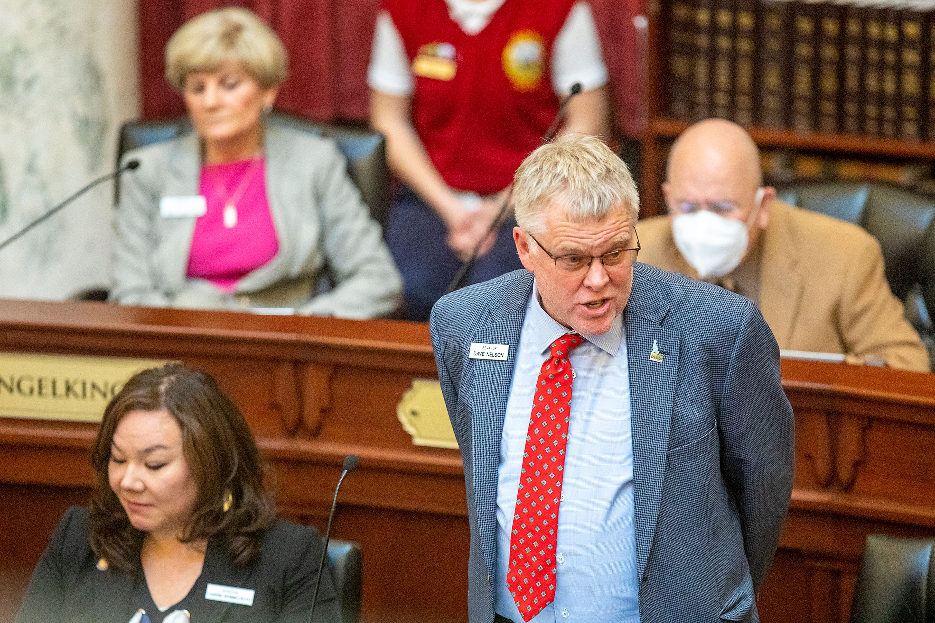 Sen. David Nelson, D-Moscow, speaks during senate session at the Idaho State Capital in Boise on Wednesday.