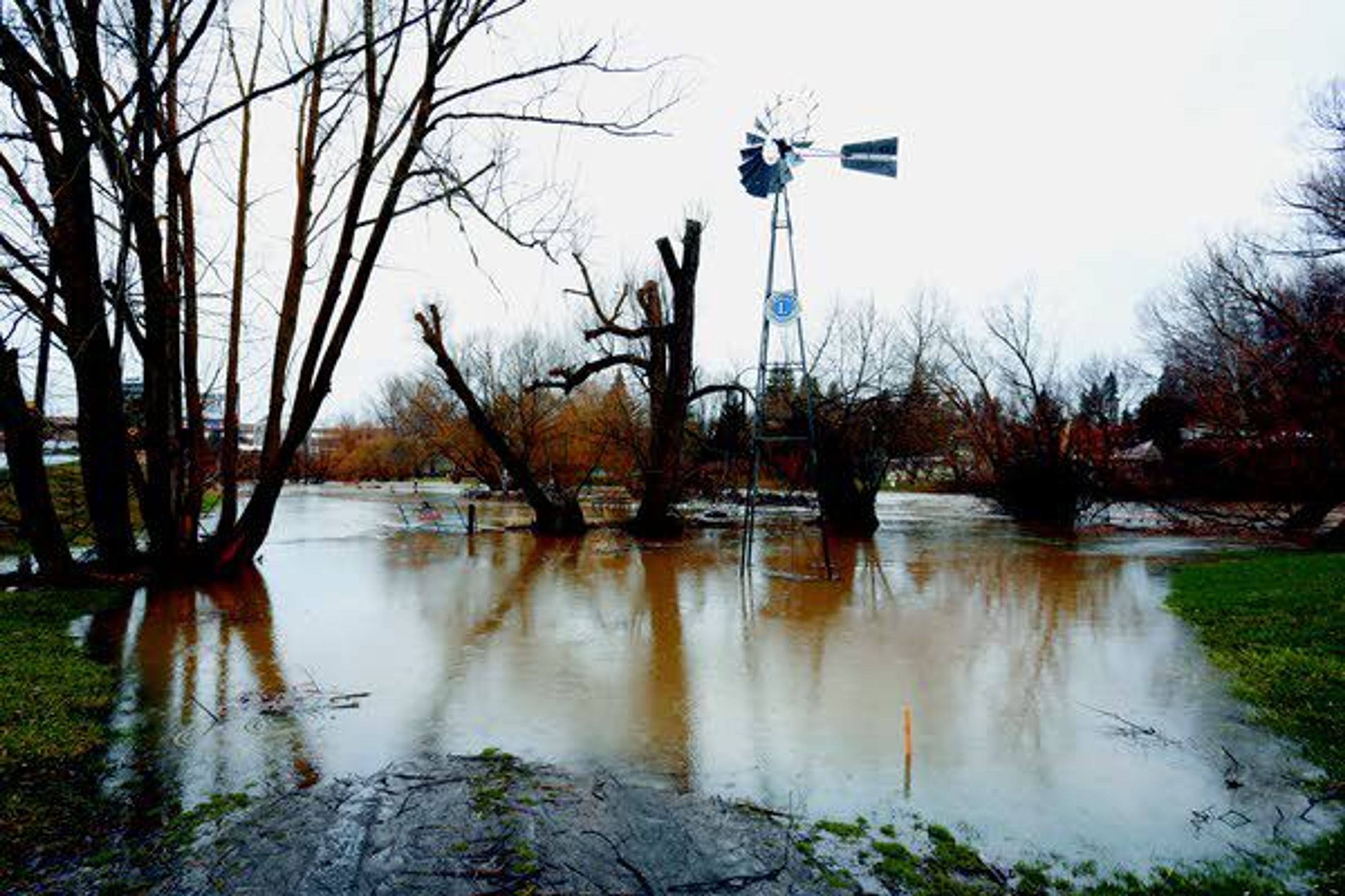 Floodwater from the Palouse River covers Lion's Park in Palouse March 14.