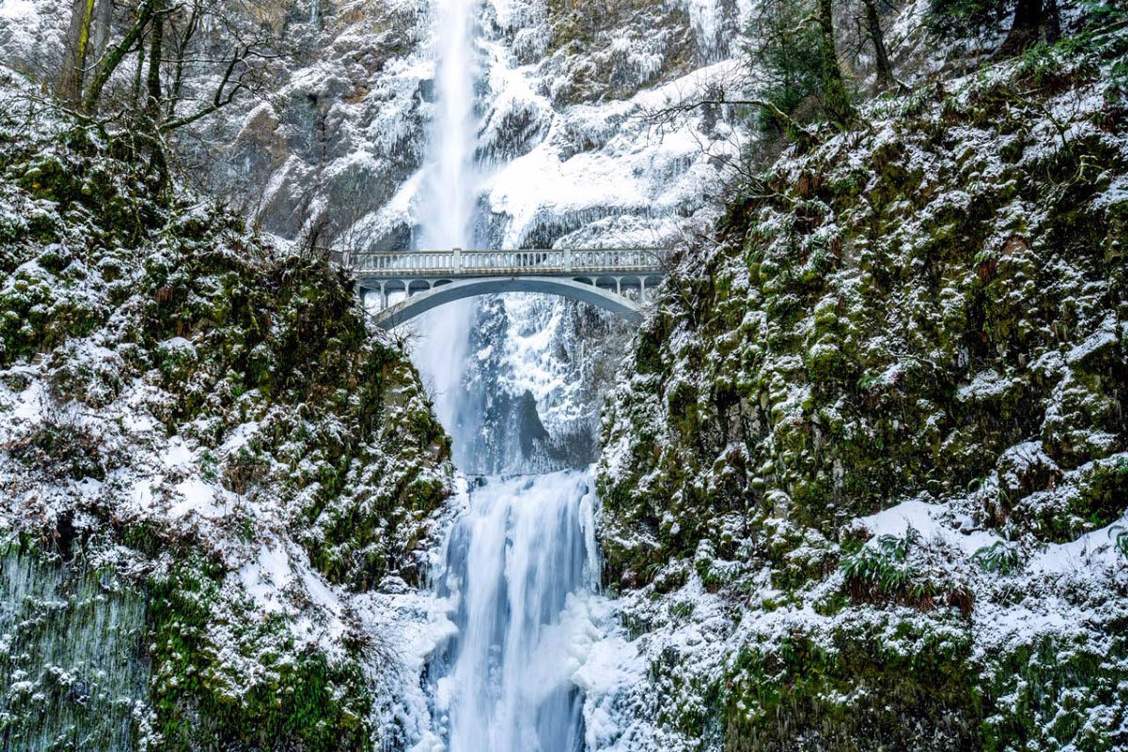 Ken Carper's image of the Benson Footbridge at Multnomah Falls in Oregon was one of two of his images to win an award in the American Society of Civil Engineers Bridge photography contest.