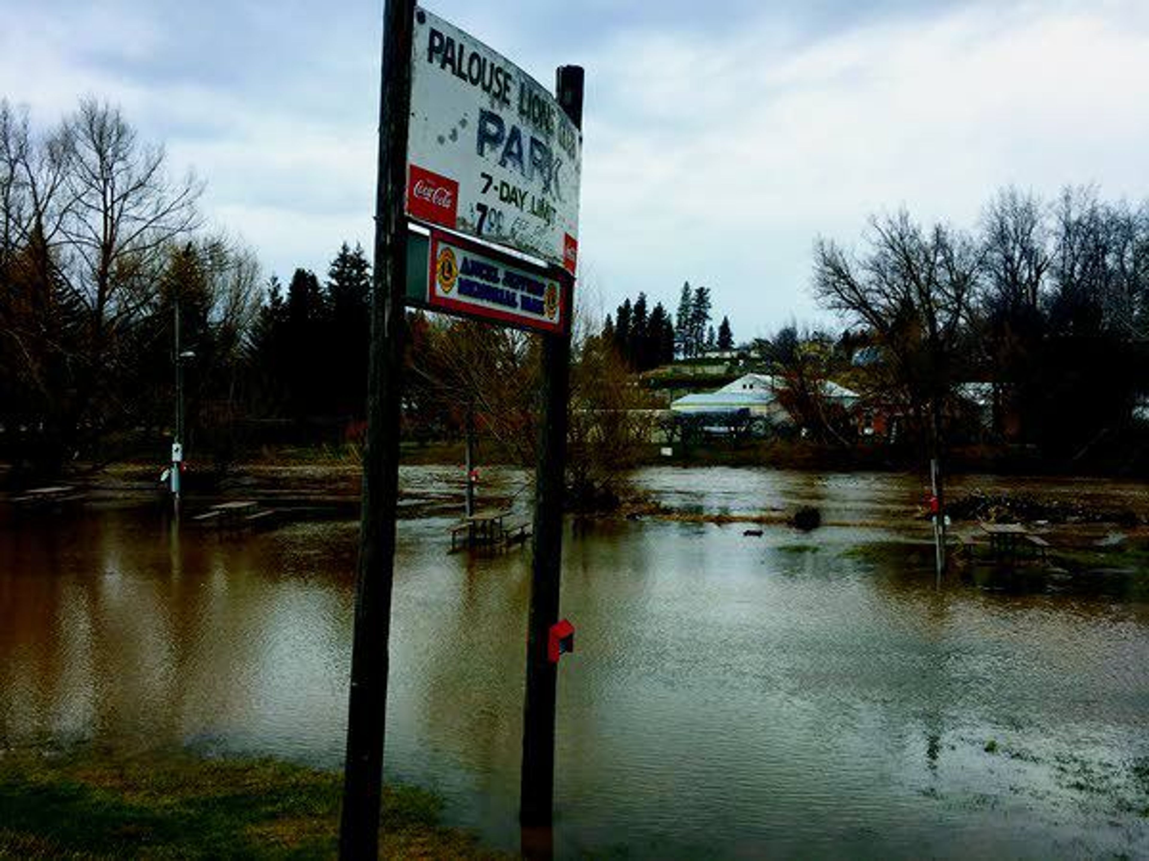 Tables were partially submerged at Palouse Lions Club Park Tuesday afternoon as water levels reached 14 feet, a foot below the flood stage. Photo by Taylor Nadauld.