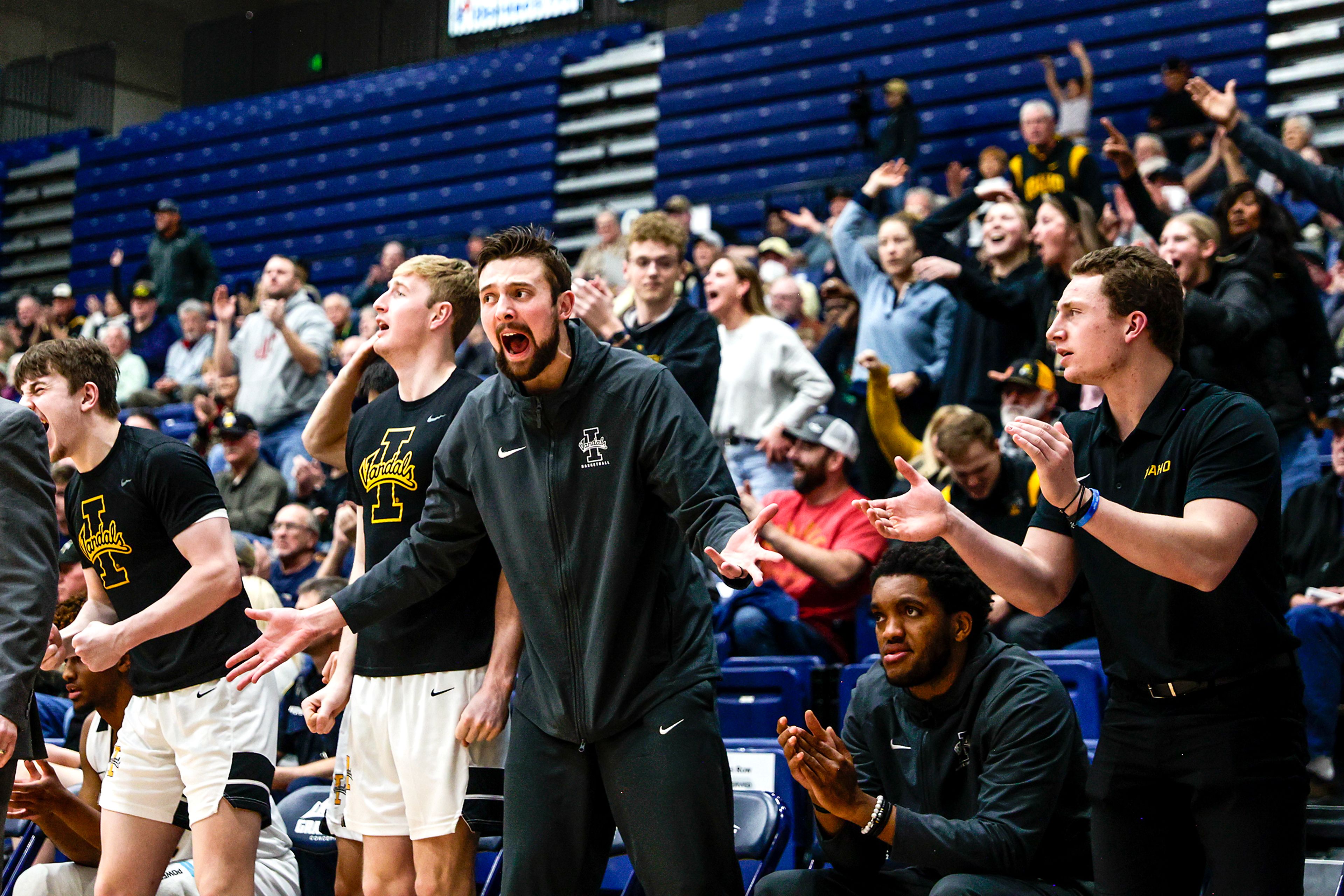 The Idaho bench reacts to a three-pointer in a Big Sky game at the P1FCU Activity Center on the Lewis-Clark State College campus Thursday in Lewiston.