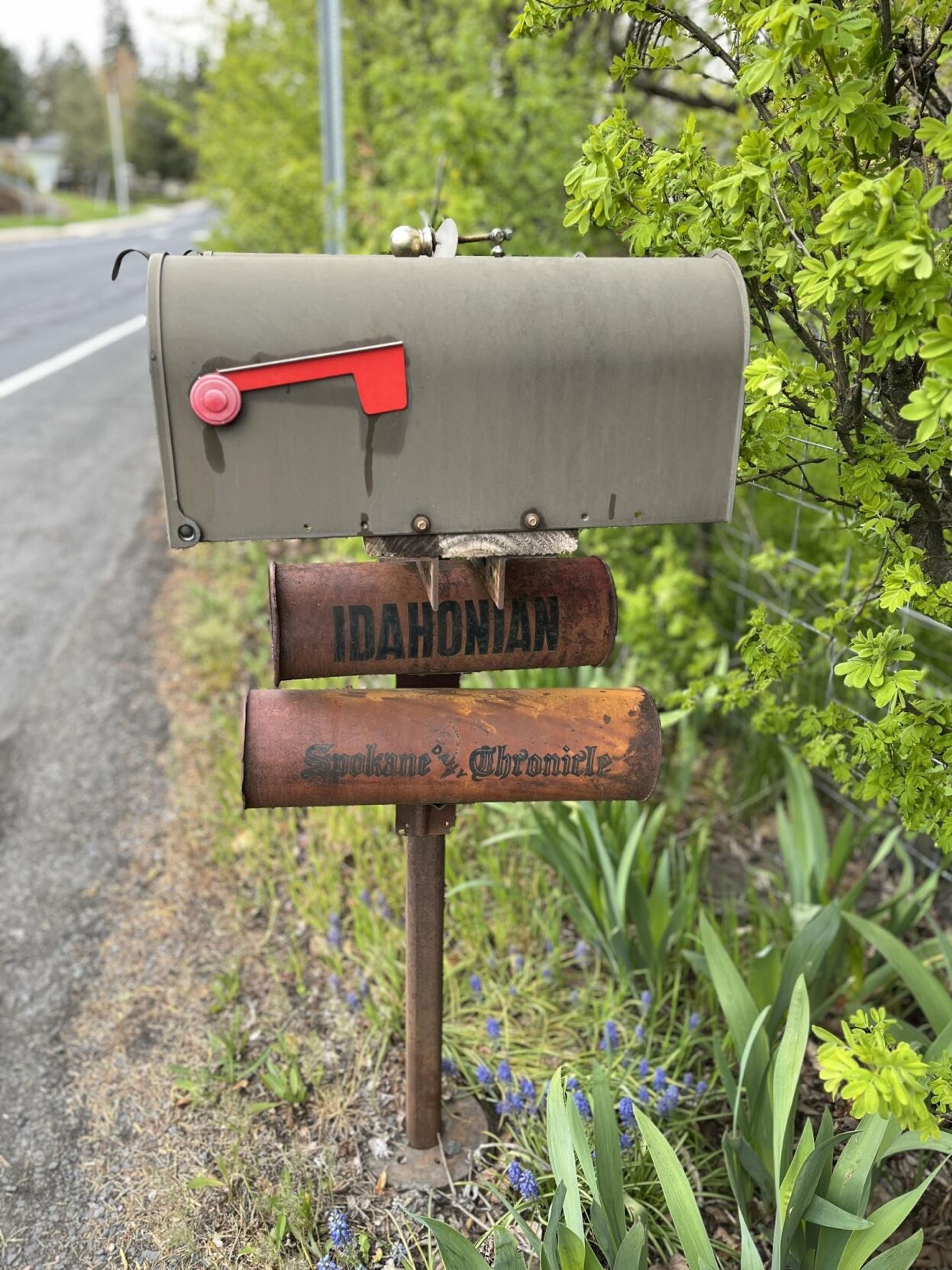 Reader Photo of the Day: Showing their age