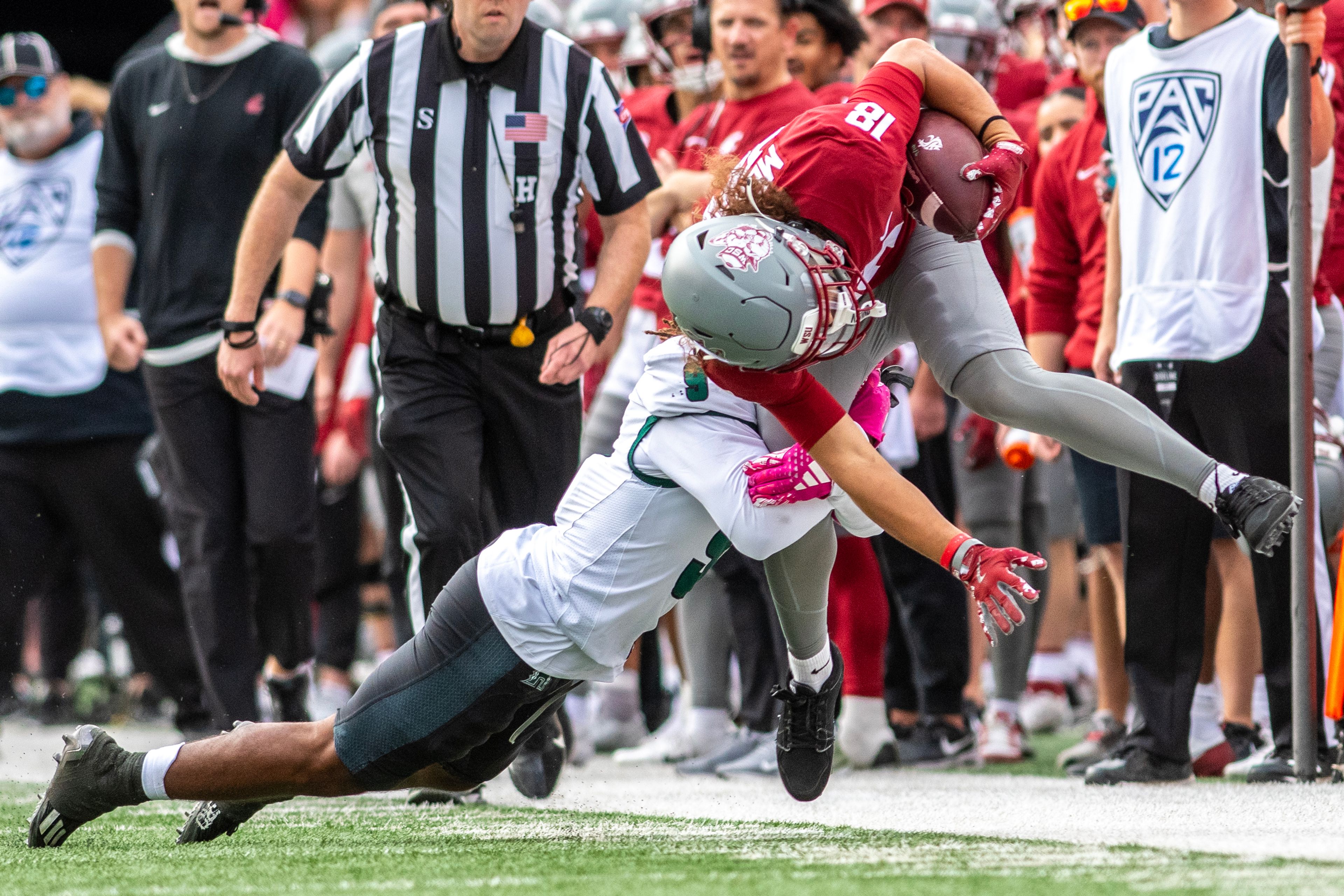 Washington State wide receiver Josh Meredith is tackled by Hawaii defensive back Elijah Palmer in a college football game on Saturday at Gesa Field in Pullman. WSU defeated Hawaii 42-10.,