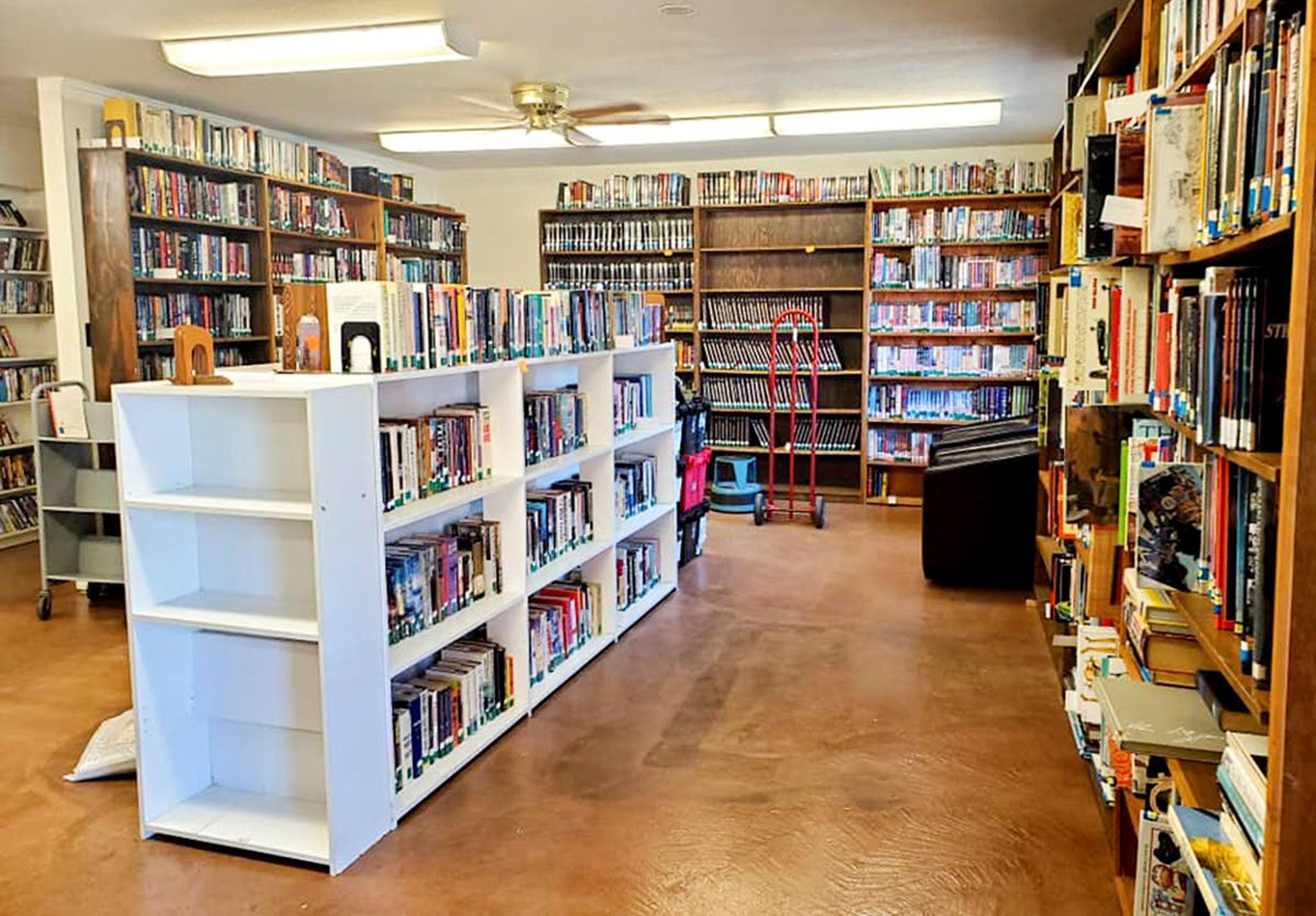 The Elk River Free Library is pictured with books back in place after its remodel.