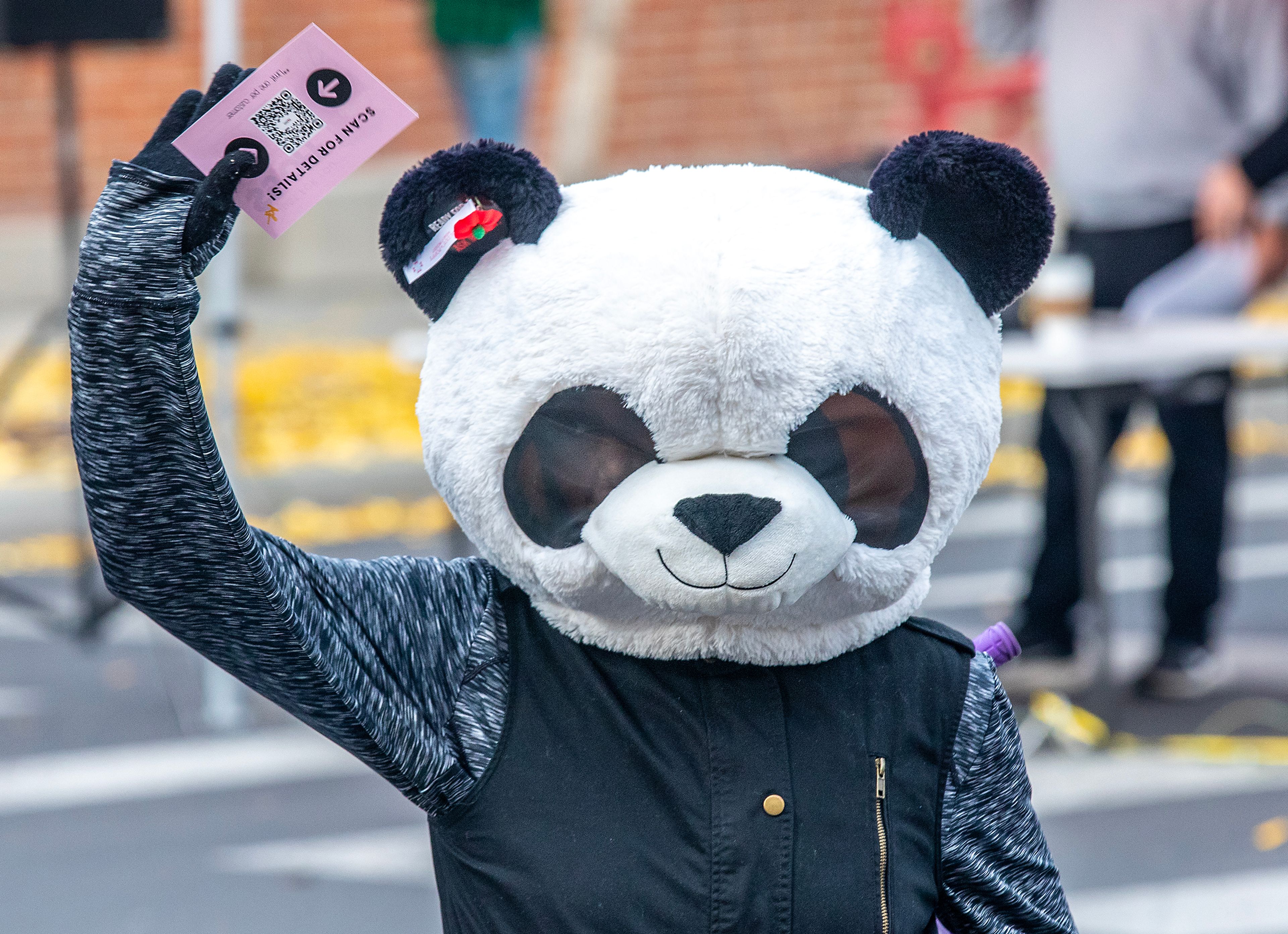 A panda marches with Ethan and Friends Saturday at the Veteran’s Day Parade on Main Street in Lewiston.