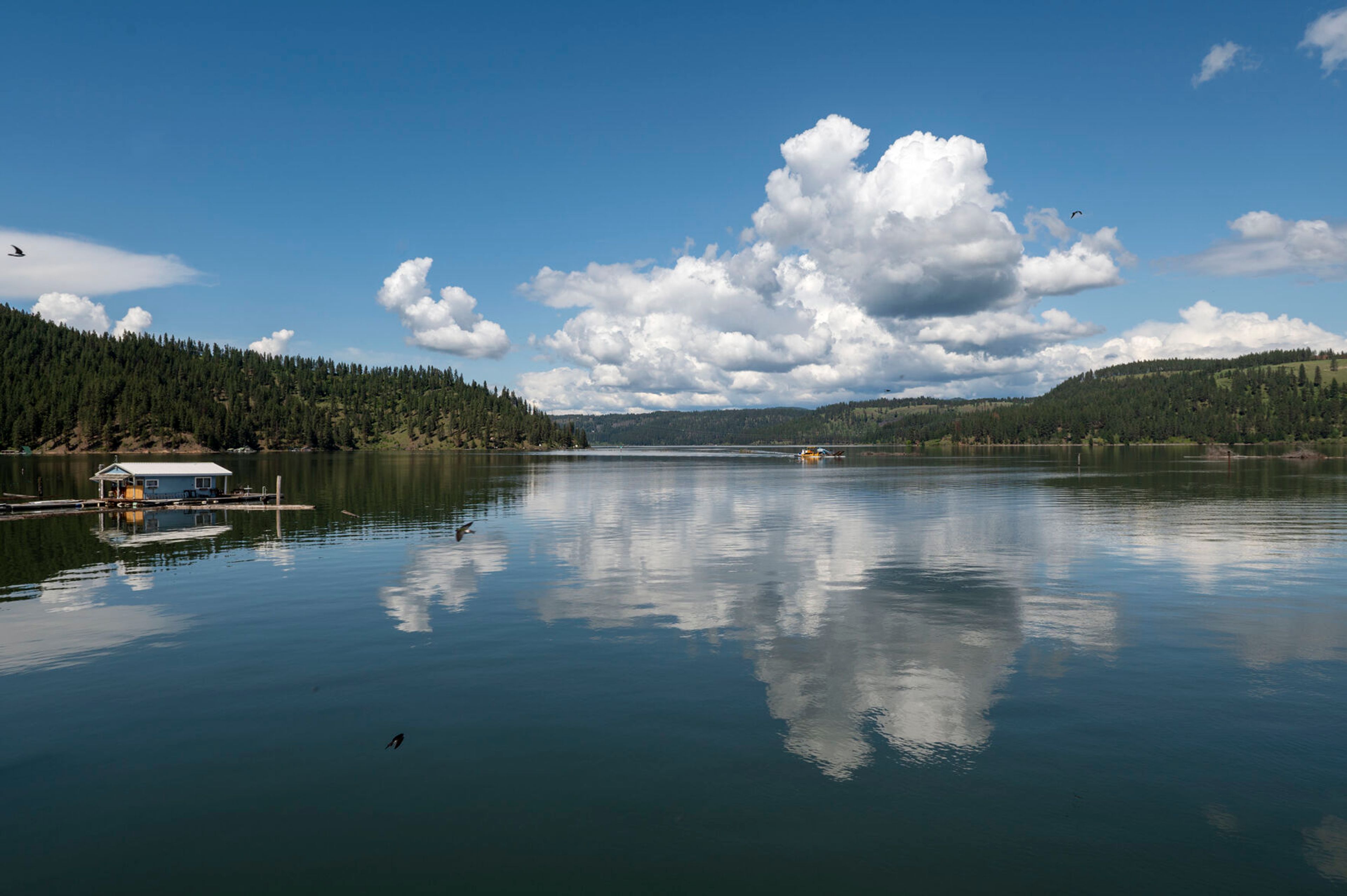 Clouds reflect off the water from Chatcolet Lake.