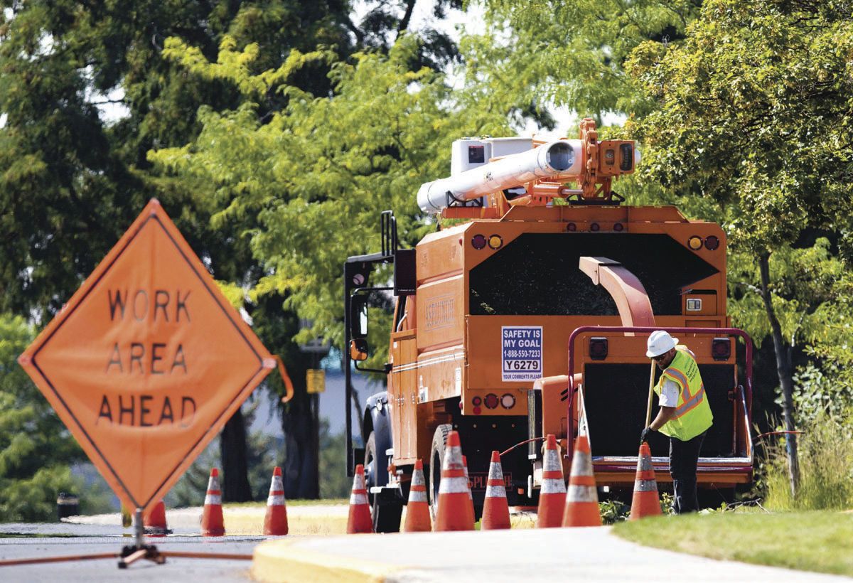 Photo: Trees removed along Perimeter Drive on UI campus