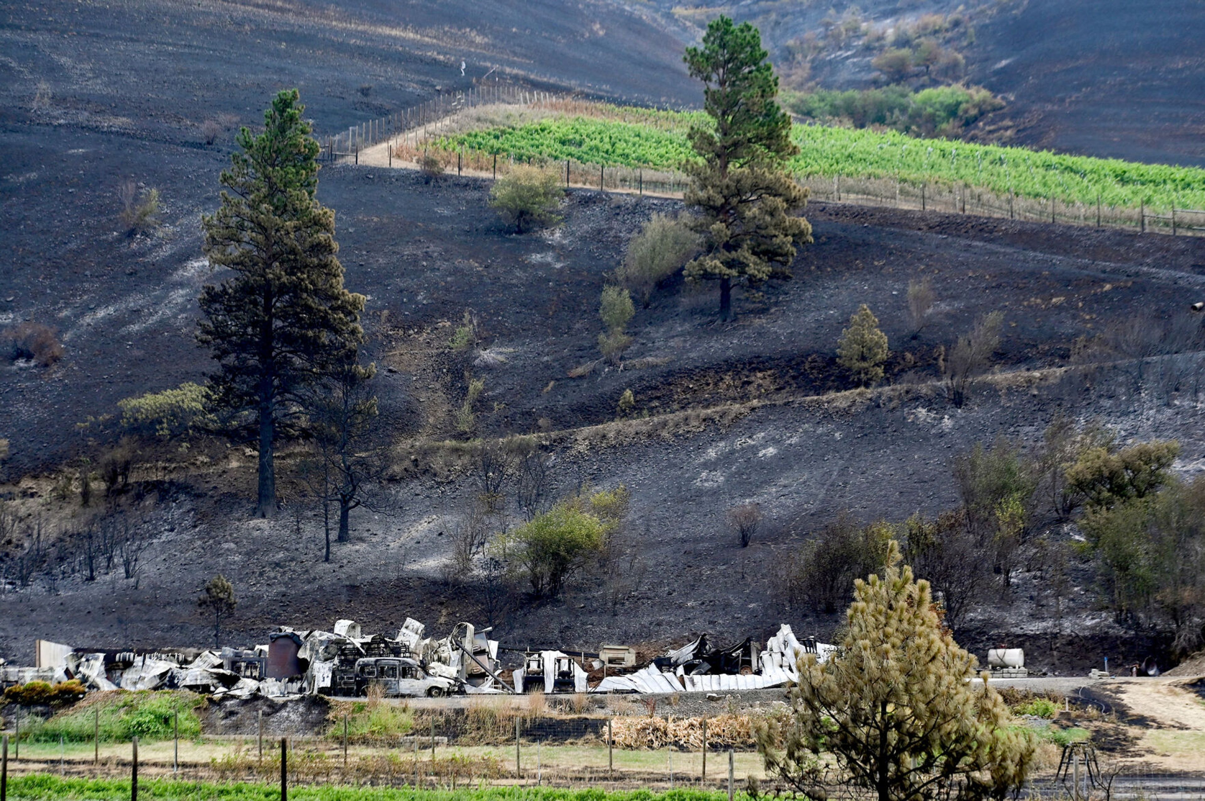 The remains of buildings used for the Colter’s Creek Winery operations, bottom left, burned down in the Gwen Fire, are visible from Idaho Highway 3 on Monday.