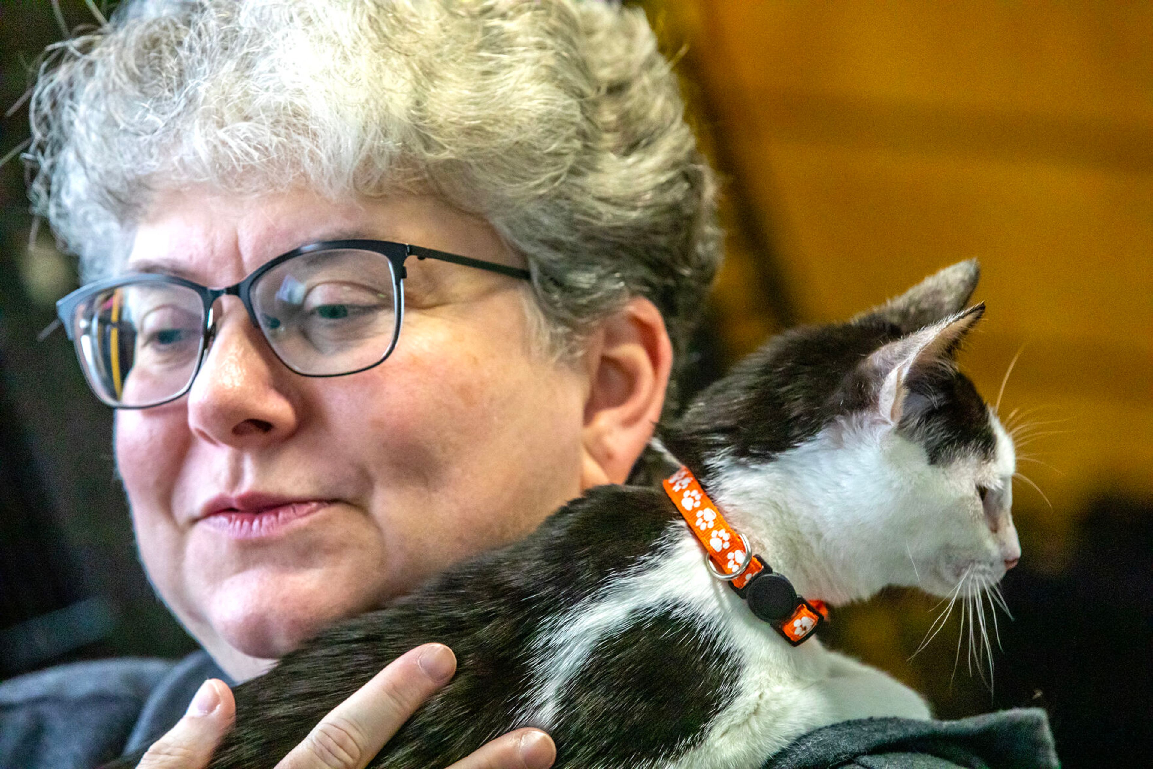 A woman holds a cat at the Helping Hands Adoption Event Saturday, August 30, in Lewiston.