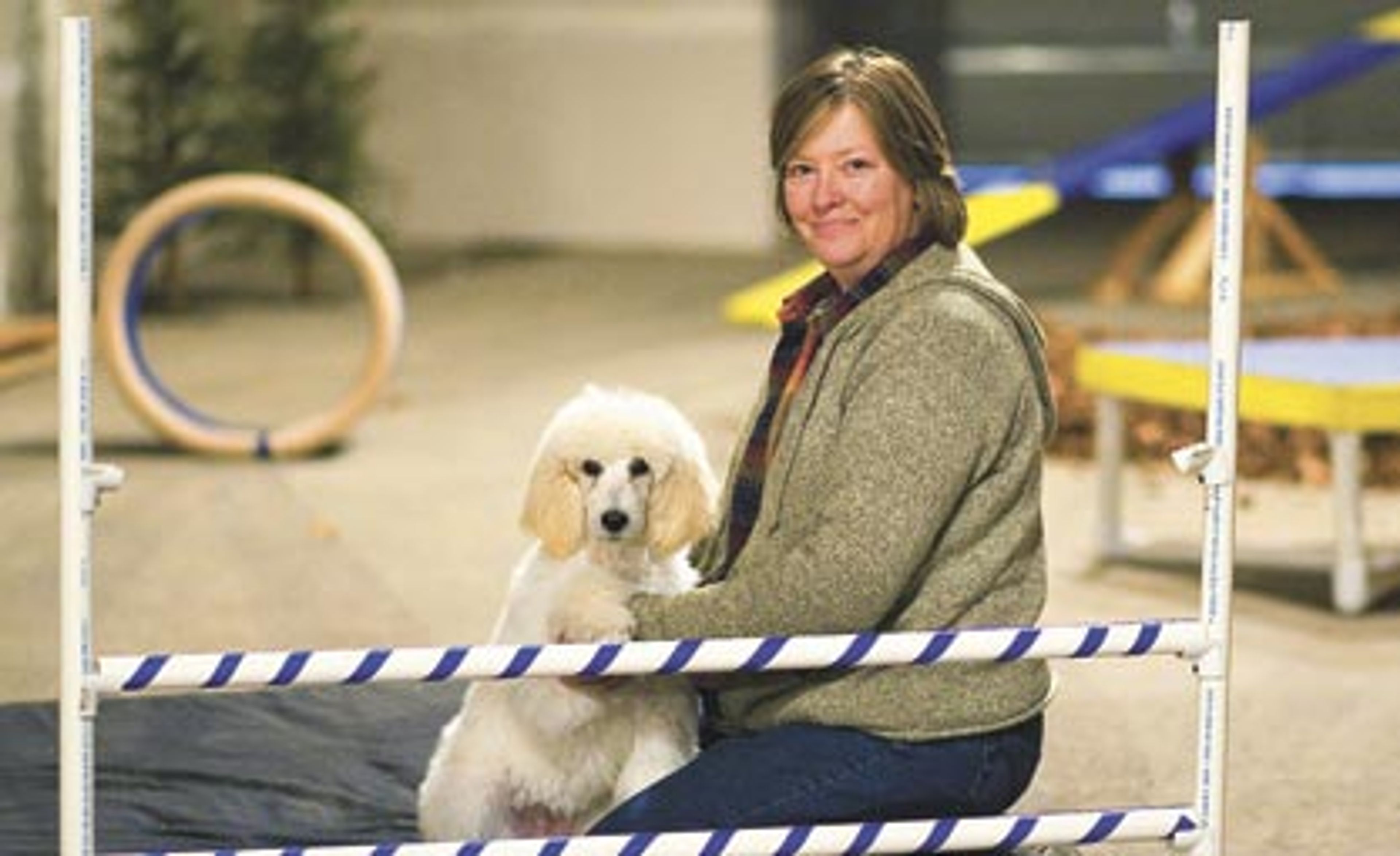 A place to rest their paws New business offers indoor dog park, dog d...