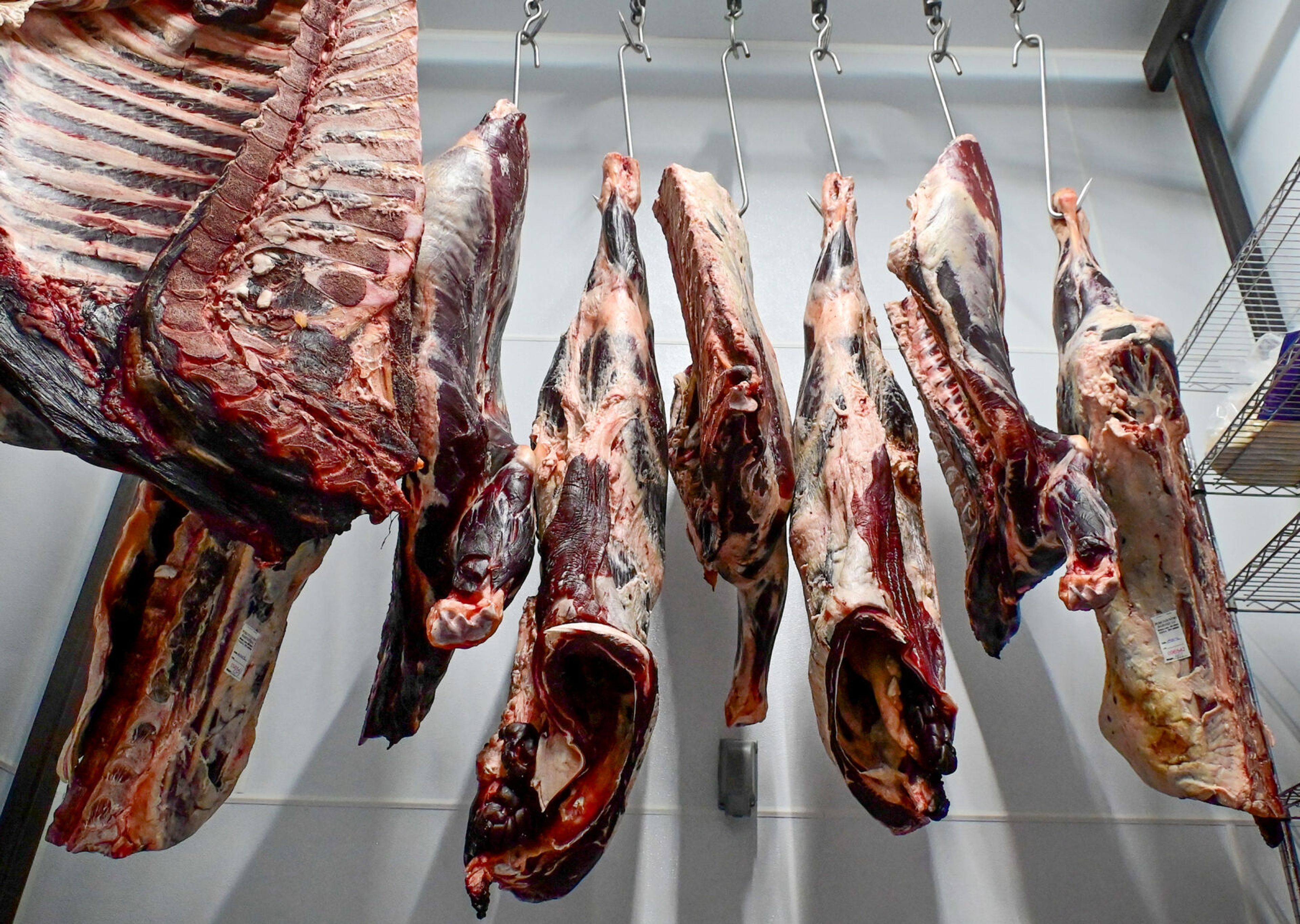 Cow carcasses are hung in a walk-in cooler, part of the meat’s preparation process, at The Butcher Shop on Friday in Deary.