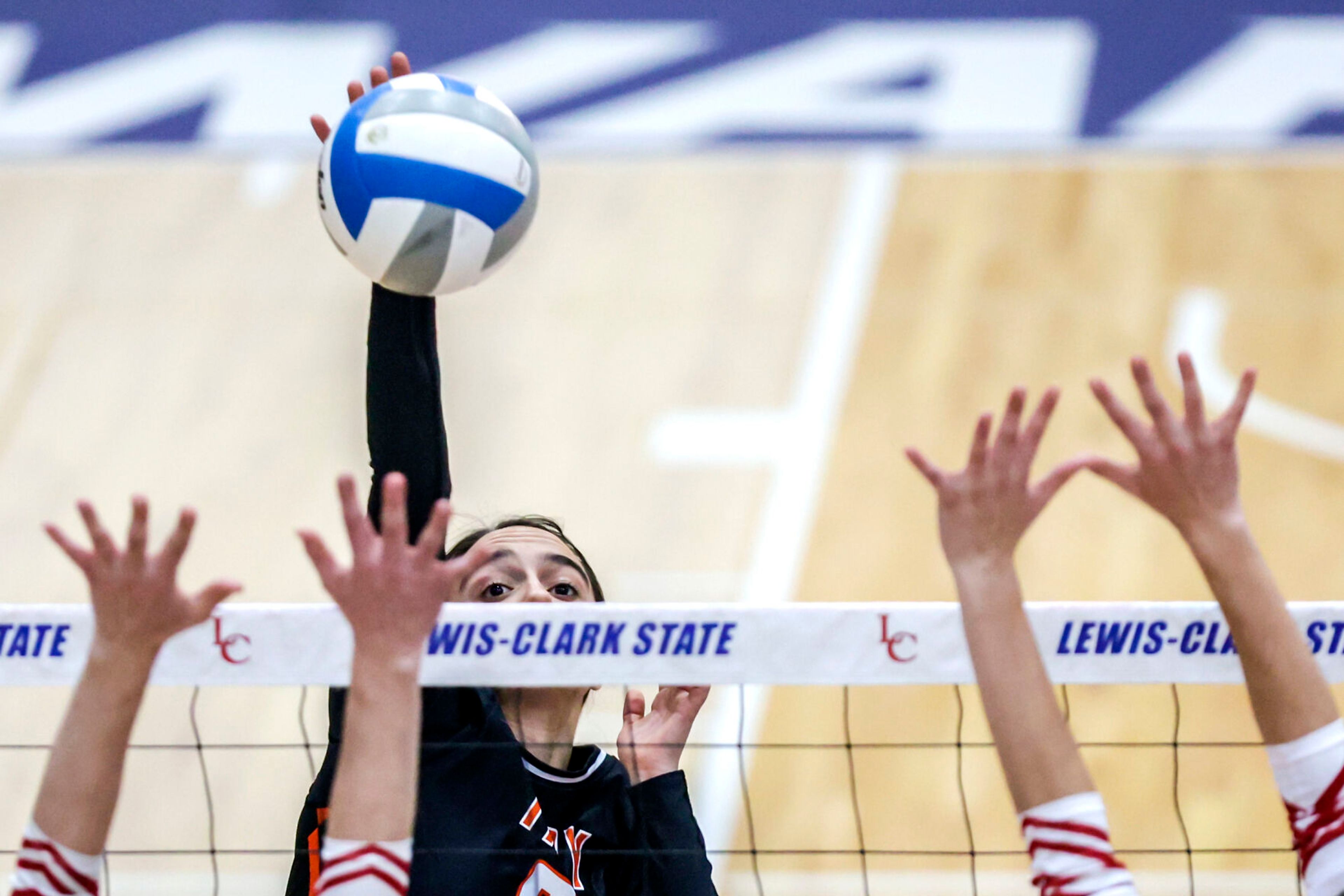 Troy setter Isabelle Raasch hits the ball over to the Grace side at the Lewis-Clark State College Athletic Center on Saturday. Troy defeated Grace in three sets to become the 1A DI state champions.