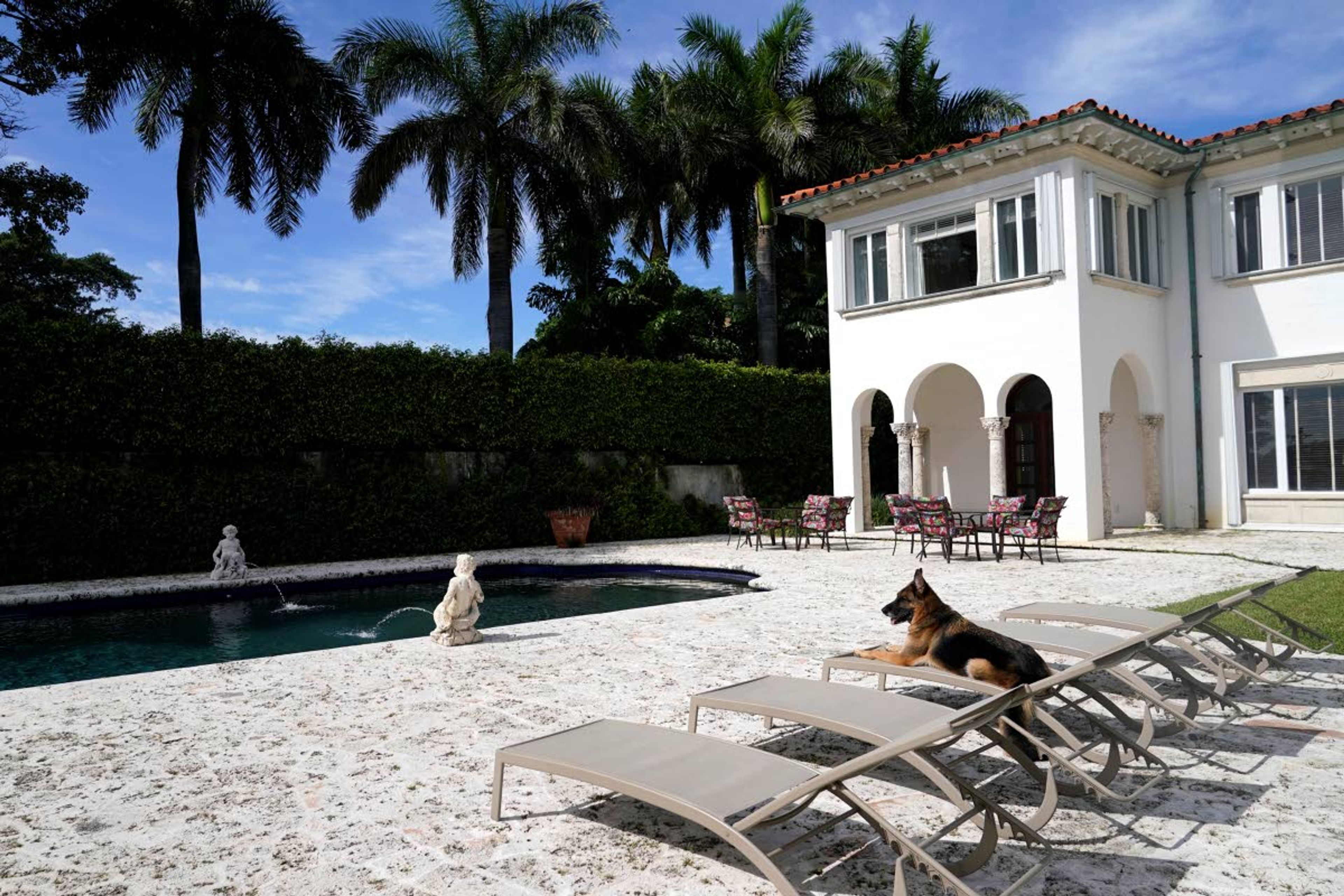 Associated PressGerman Shepherd Gunther VI sits by the pool at a house formerly owned by pop star Madonna on Monday in Miami.