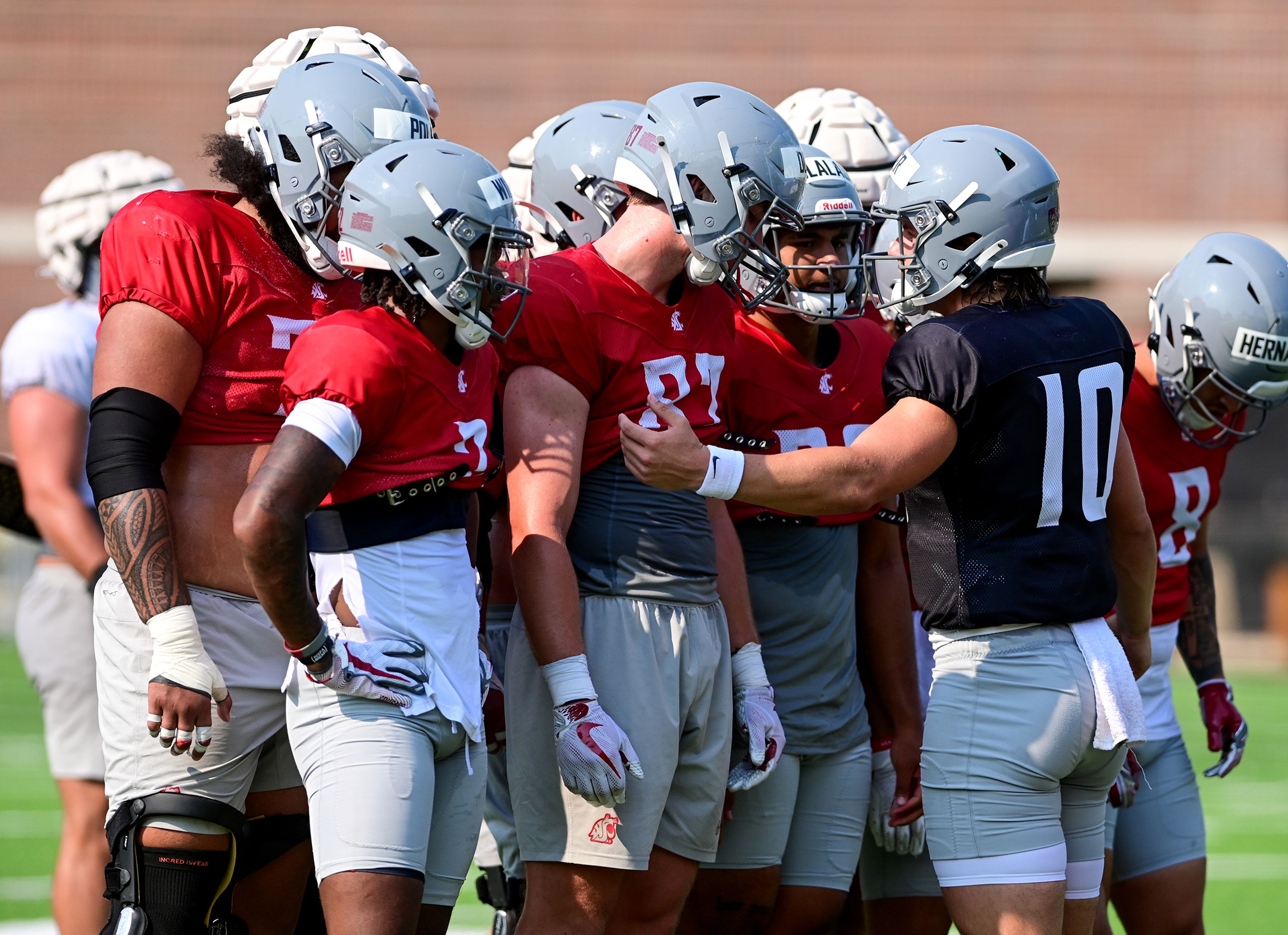 Washington State quarterback John Mateer leads a team huddle before a play run-through at WSUs fall camp on Friday in Pullman.,