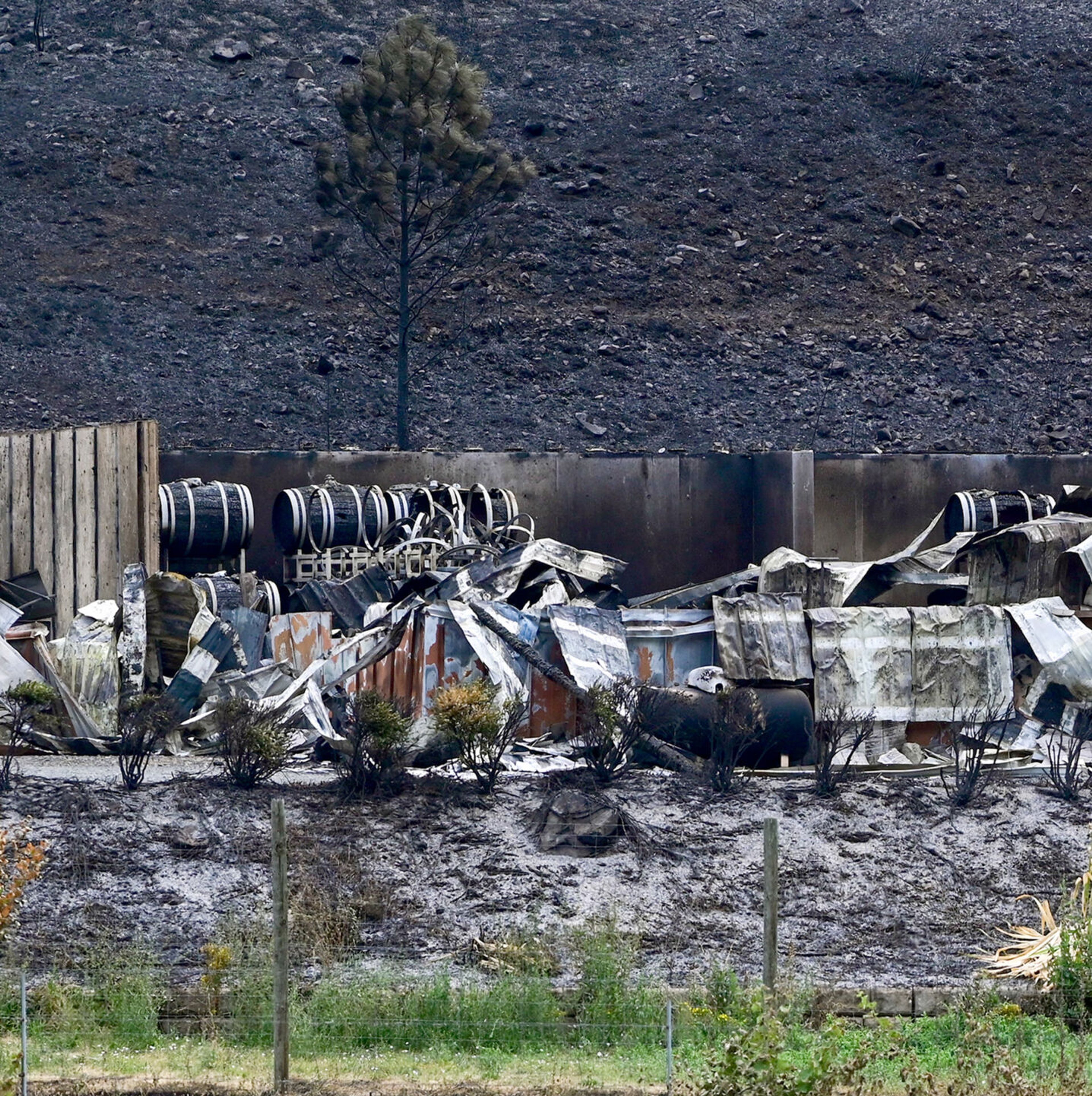 Burned barrels hang on Monday from stands among the rubble of buildings used for the Colter’s Creek Winery operations in Juliaetta. The structures burned down in the Gwen Fire.