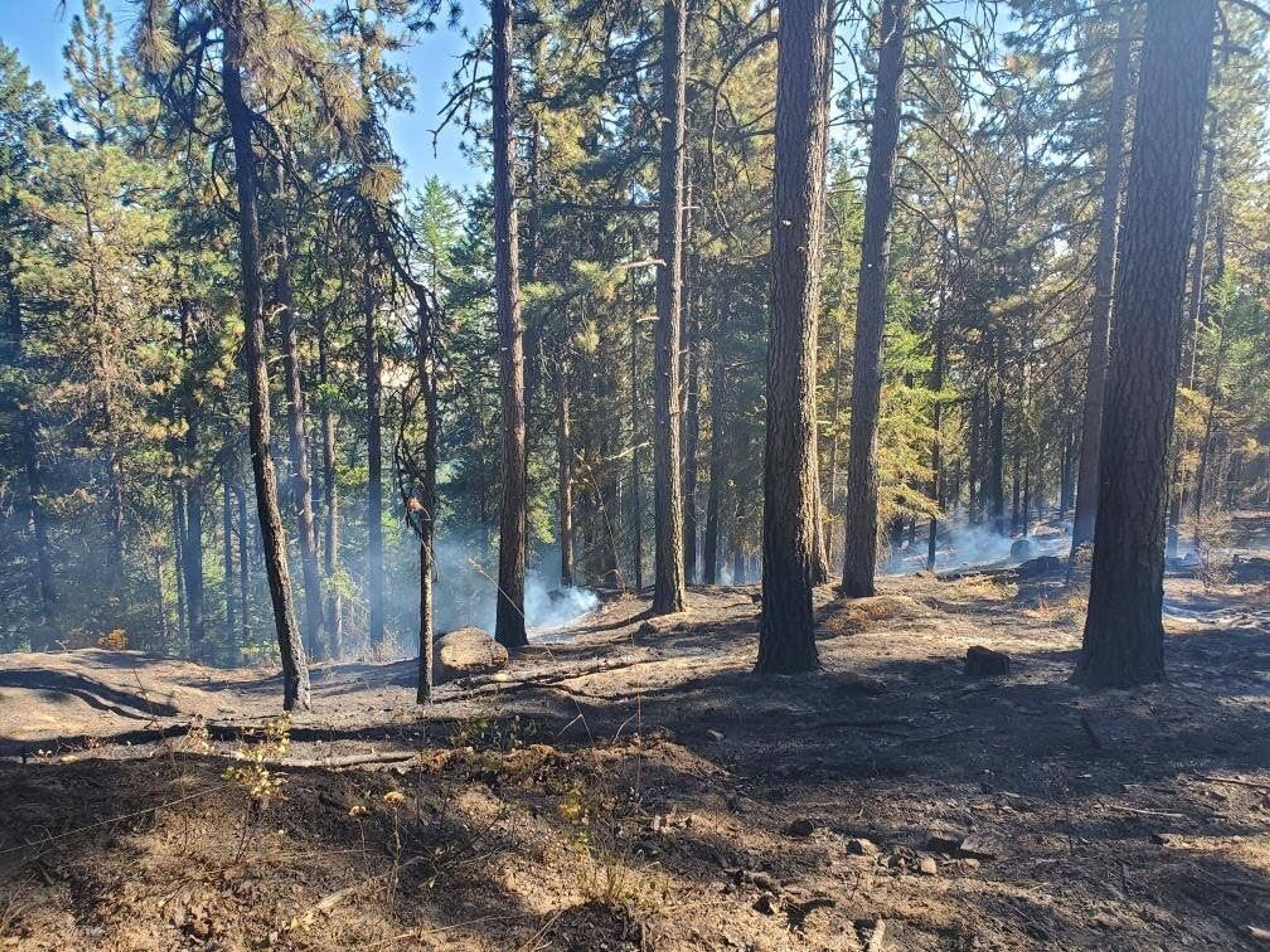 The Idler Fire at the base of Moscow Mountain north of Moscow scorched an estimated 150 acres Monday and Tuesday. This is a views looking south from the north flank of the fire's path.