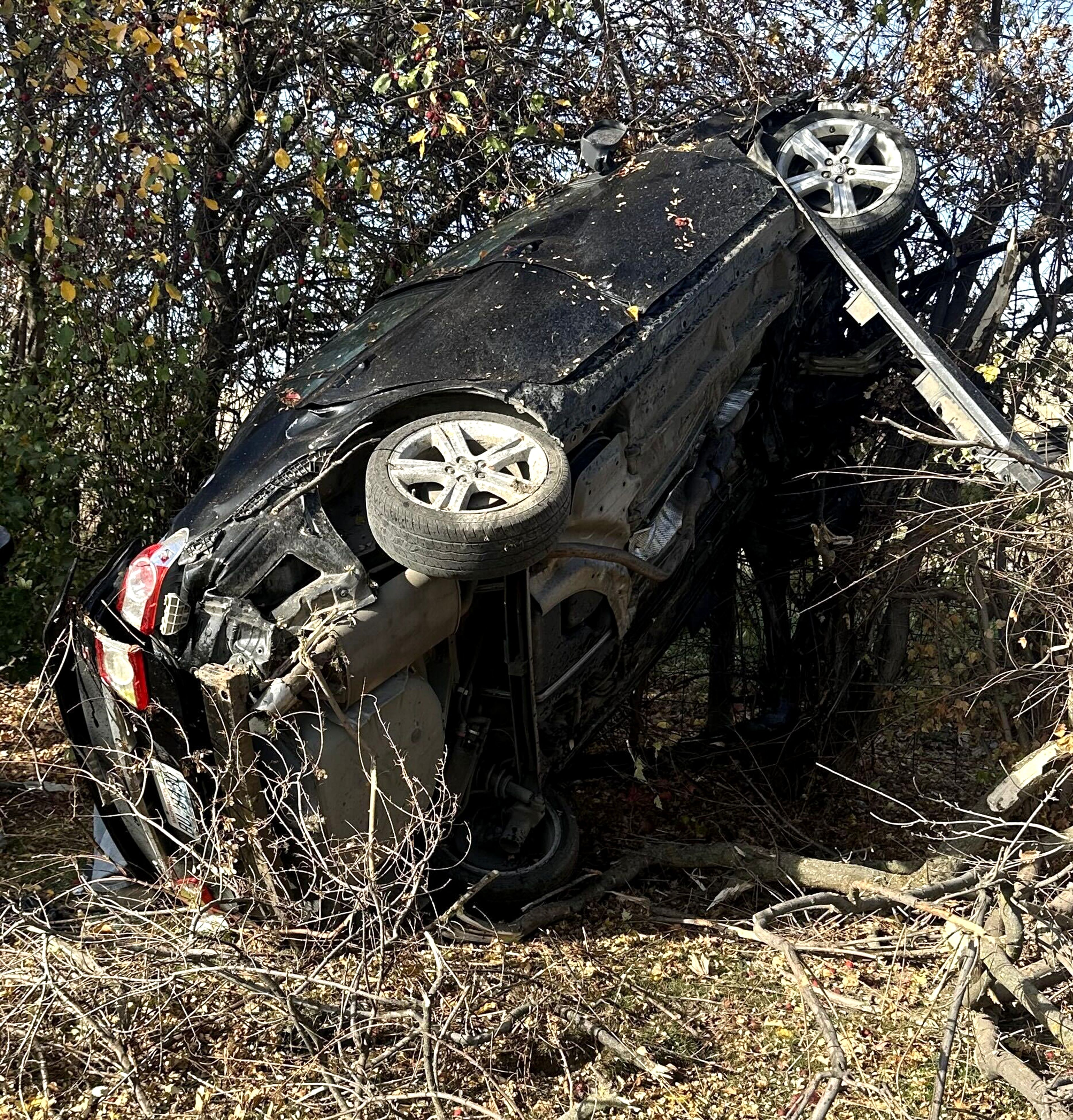 A vehicle rests against trees after a crash Saturday off Dry Creek Road.