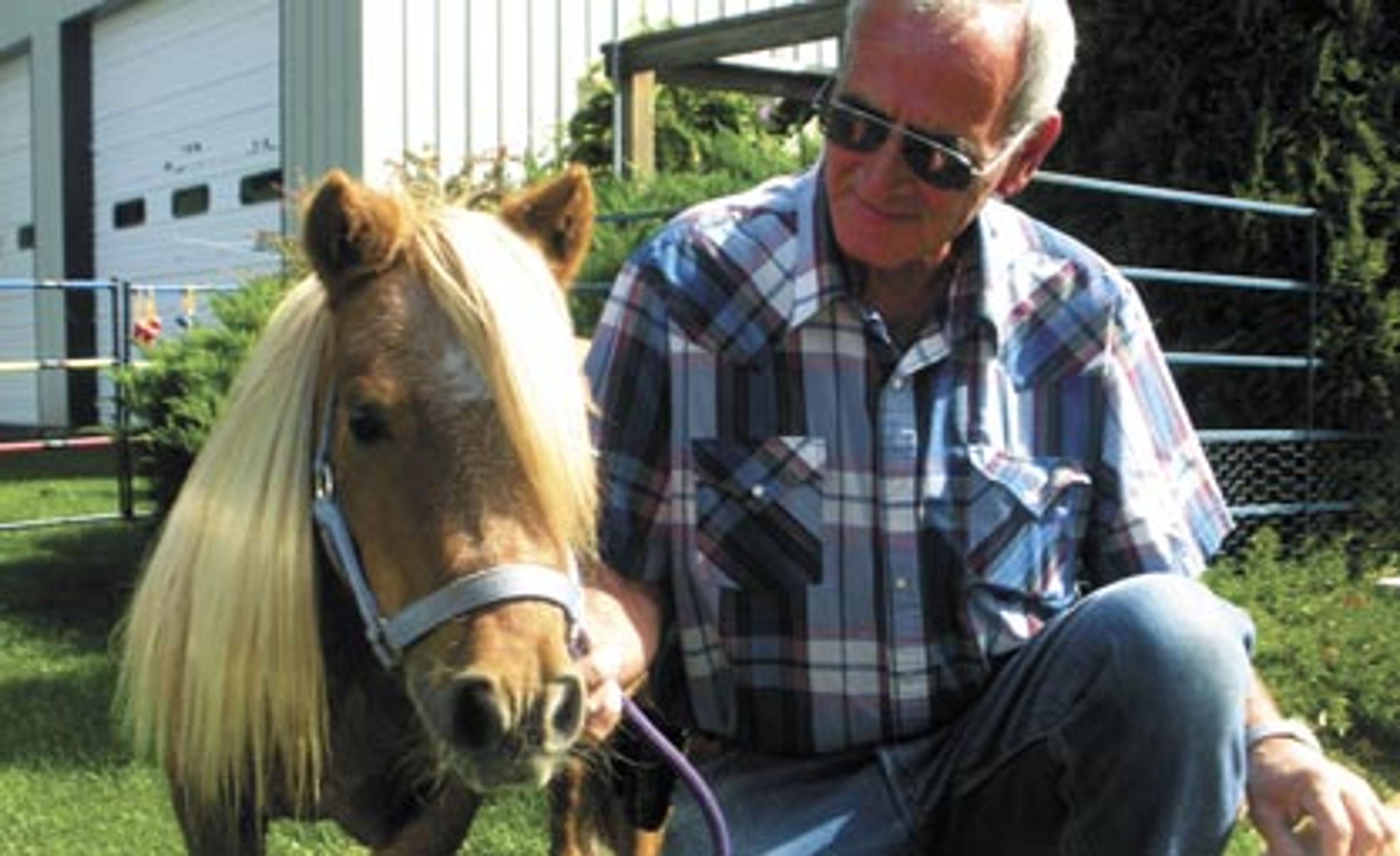 Big business in small packages Miniature horses, tack and supply stor...