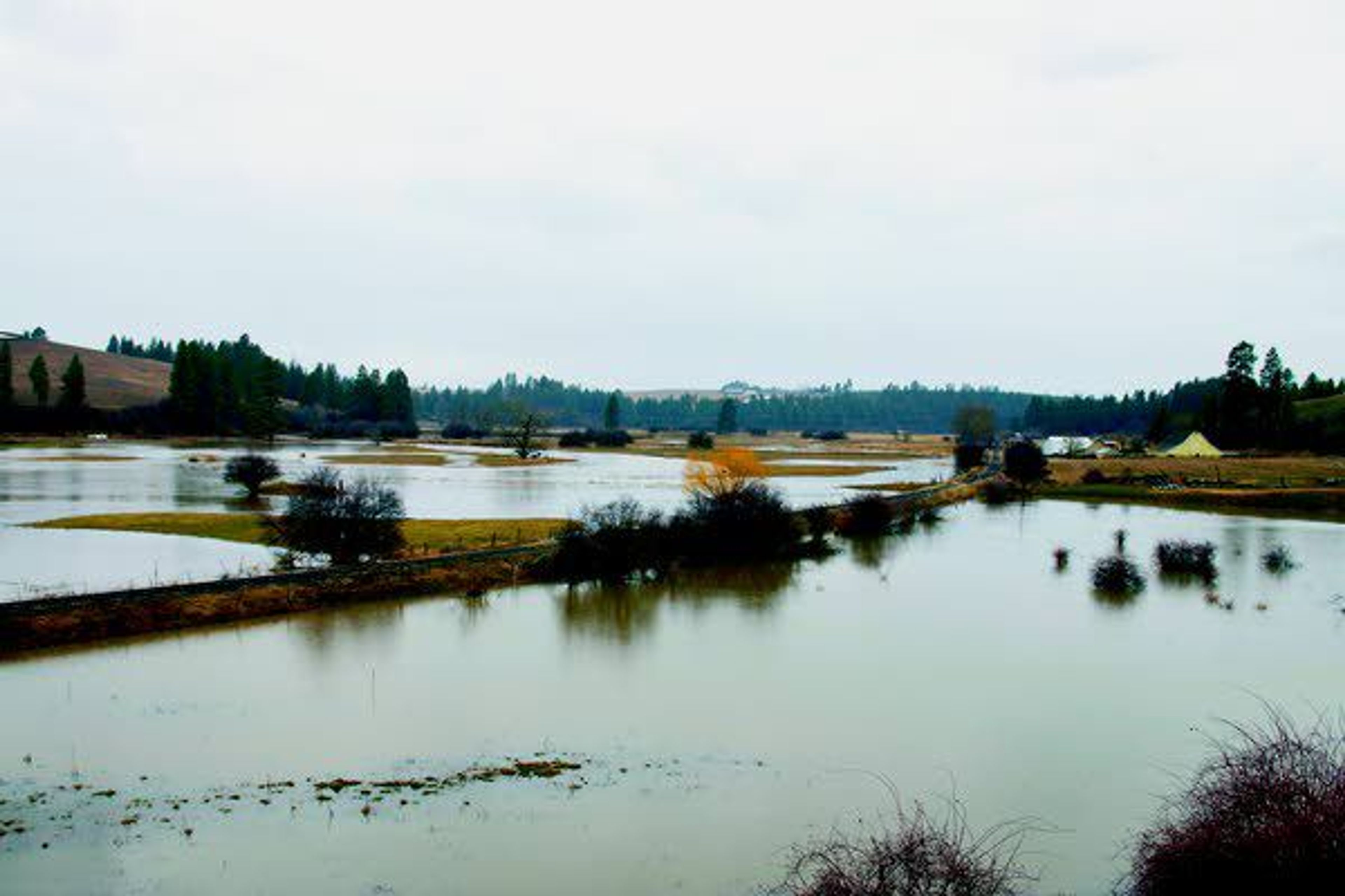 The Palouse River spreads out onto flood plain between Potlatch and Palouse March 14.