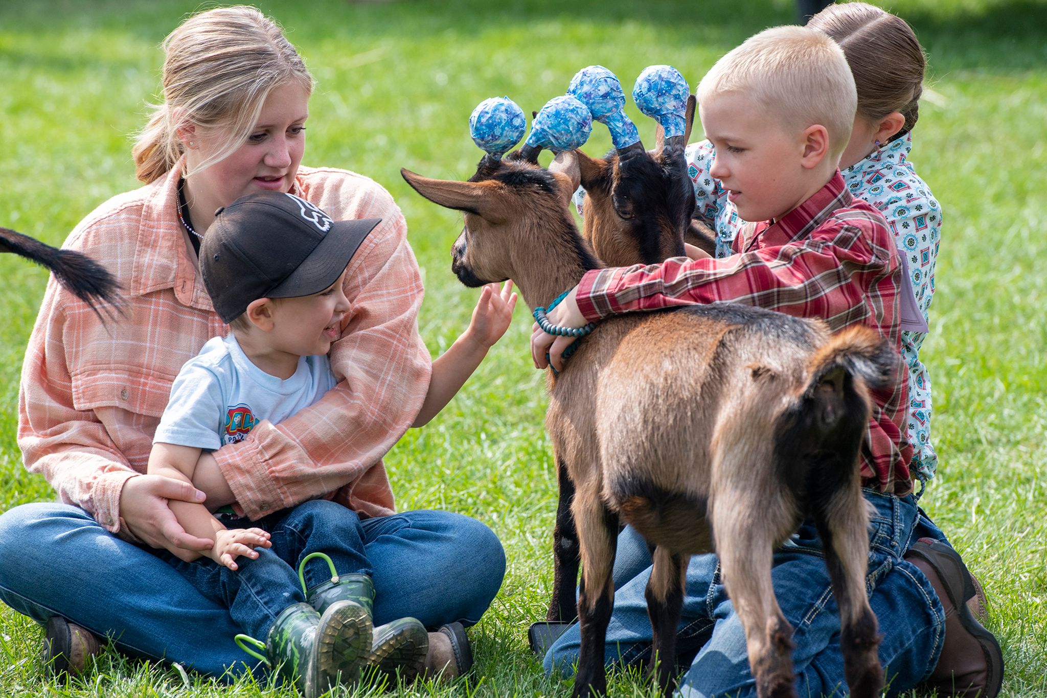 latah-county-fair-returns-with-animals-logging-sports-arts-and-more