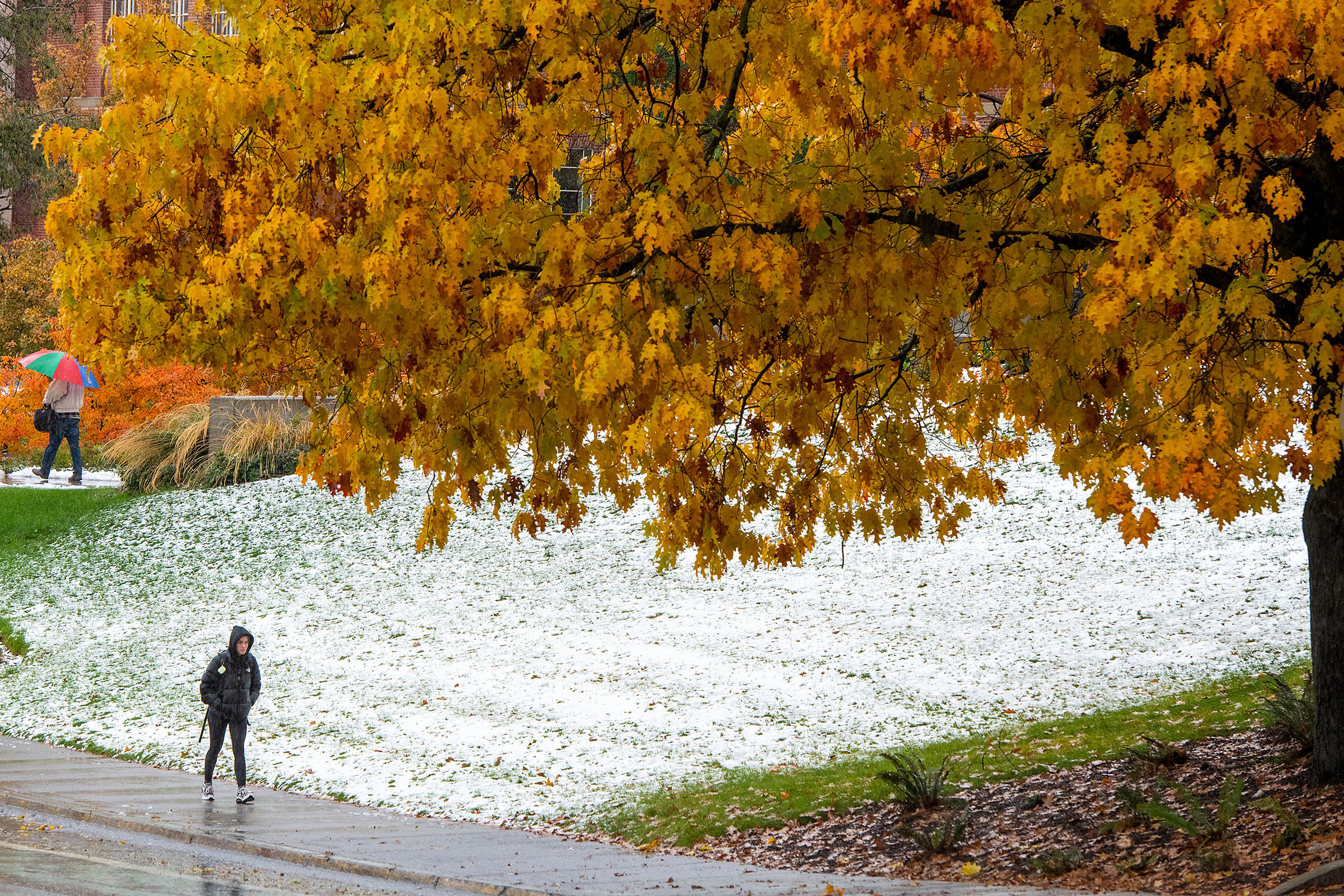 Pedestrians walk along Washington State University’s campus as heavy rainfall begins to melt last night’s snow in Pullman on Friday.