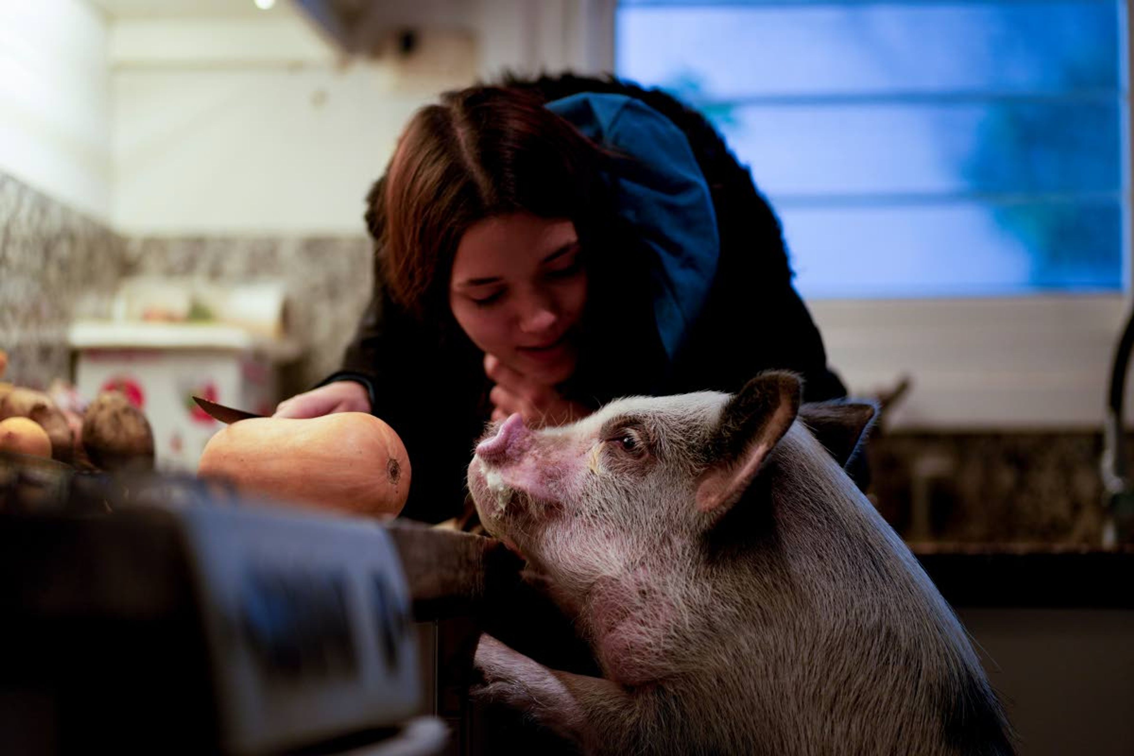 Luciana Benetti, 16, feeds her pet pig Chanchi, given to her as a birthday gift the previous year amid the COVID-19 pandemic in Buenos Aires, Argentina, Saturday, Sept. 4, 2021. “One day my legs gave way and he came running. He grabbed my hair and raised my head," she said. She had been taking online classes at home, unable to see friends or schoolmates. “I didn't feel well. I was dizzy because I couldn't leave.” (AP Photo/Natacha Pisarenko)