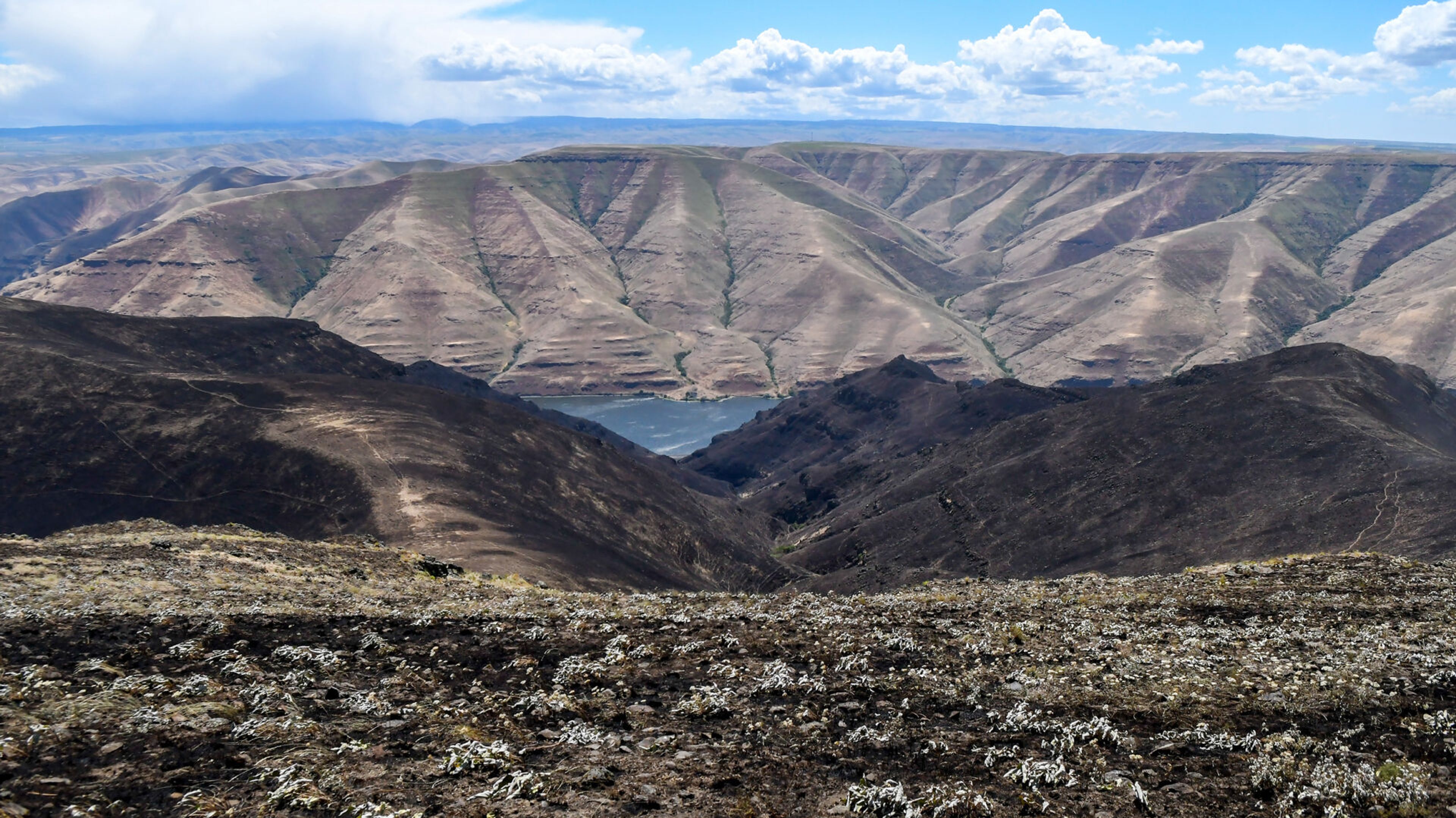 A view on Saturday from the east of the Snake River shows charred land leading to a darkened summit after roughly 300-acres burned in a wildfire between Nisqually John Landing and Steptoe Canyon.